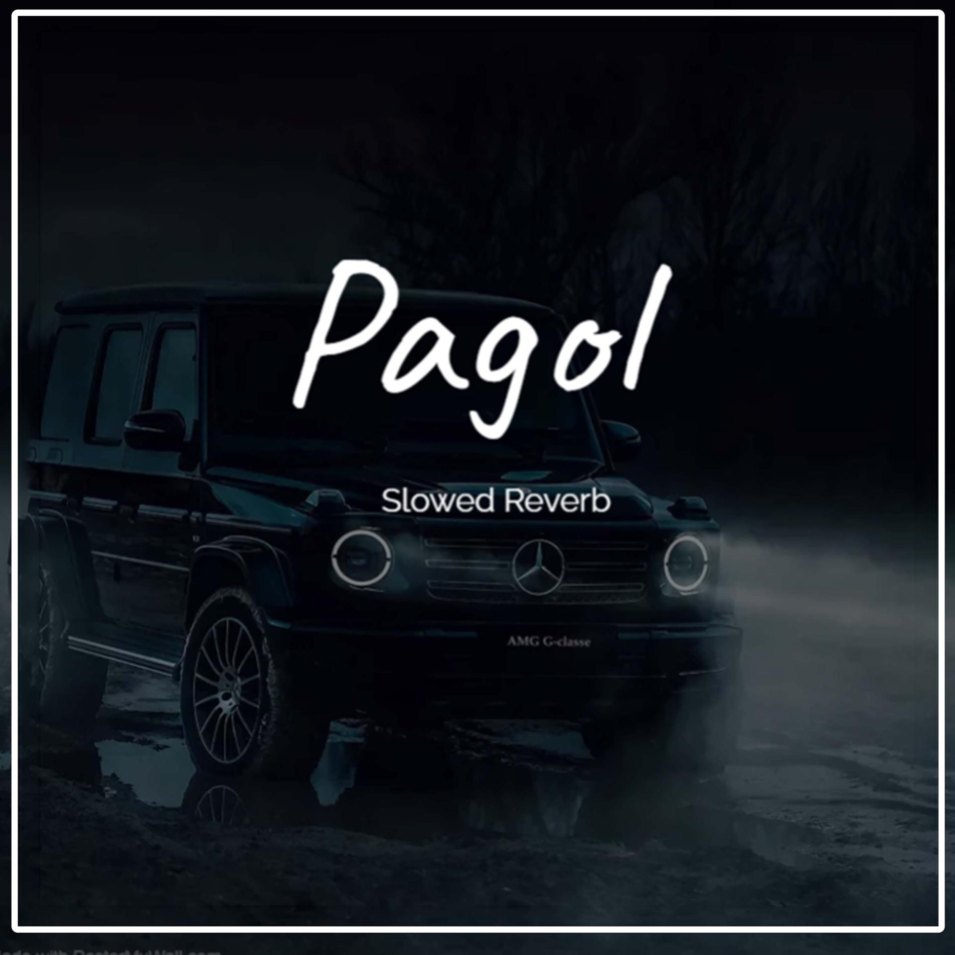 Постер альбома Pagol Slowed Reverb