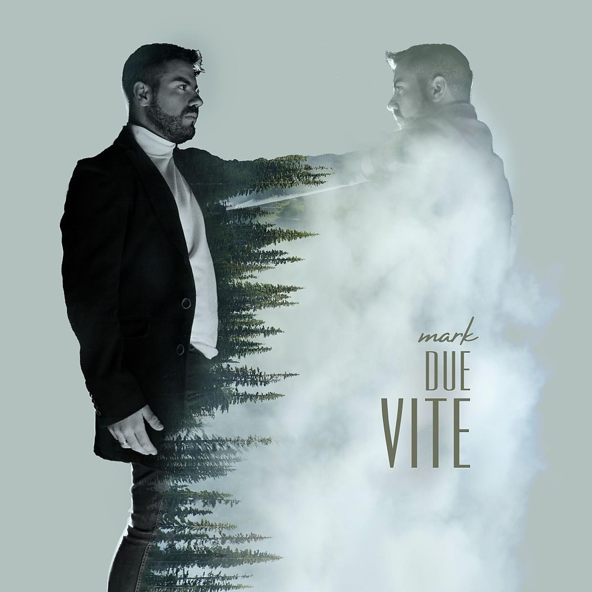 Постер альбома Due vite