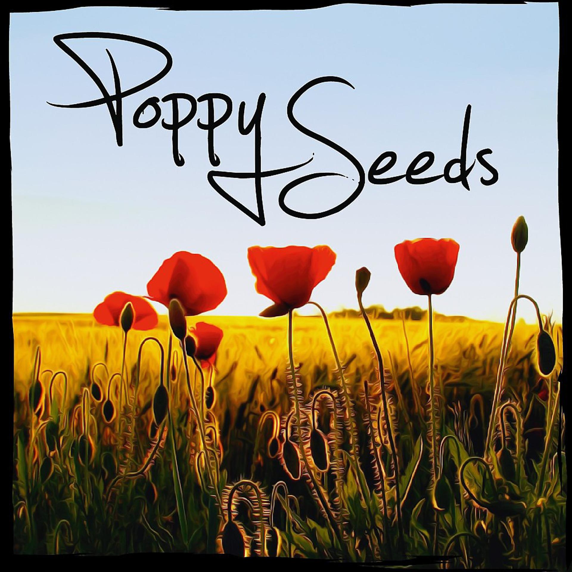 Постер альбома Poppy Seeds