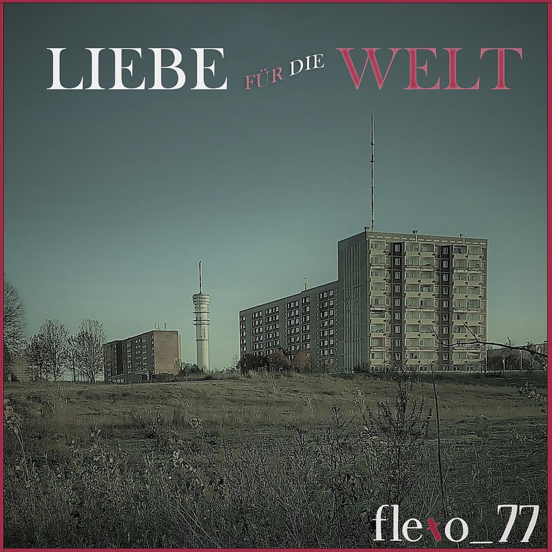 Постер альбома Liebe für die Welt