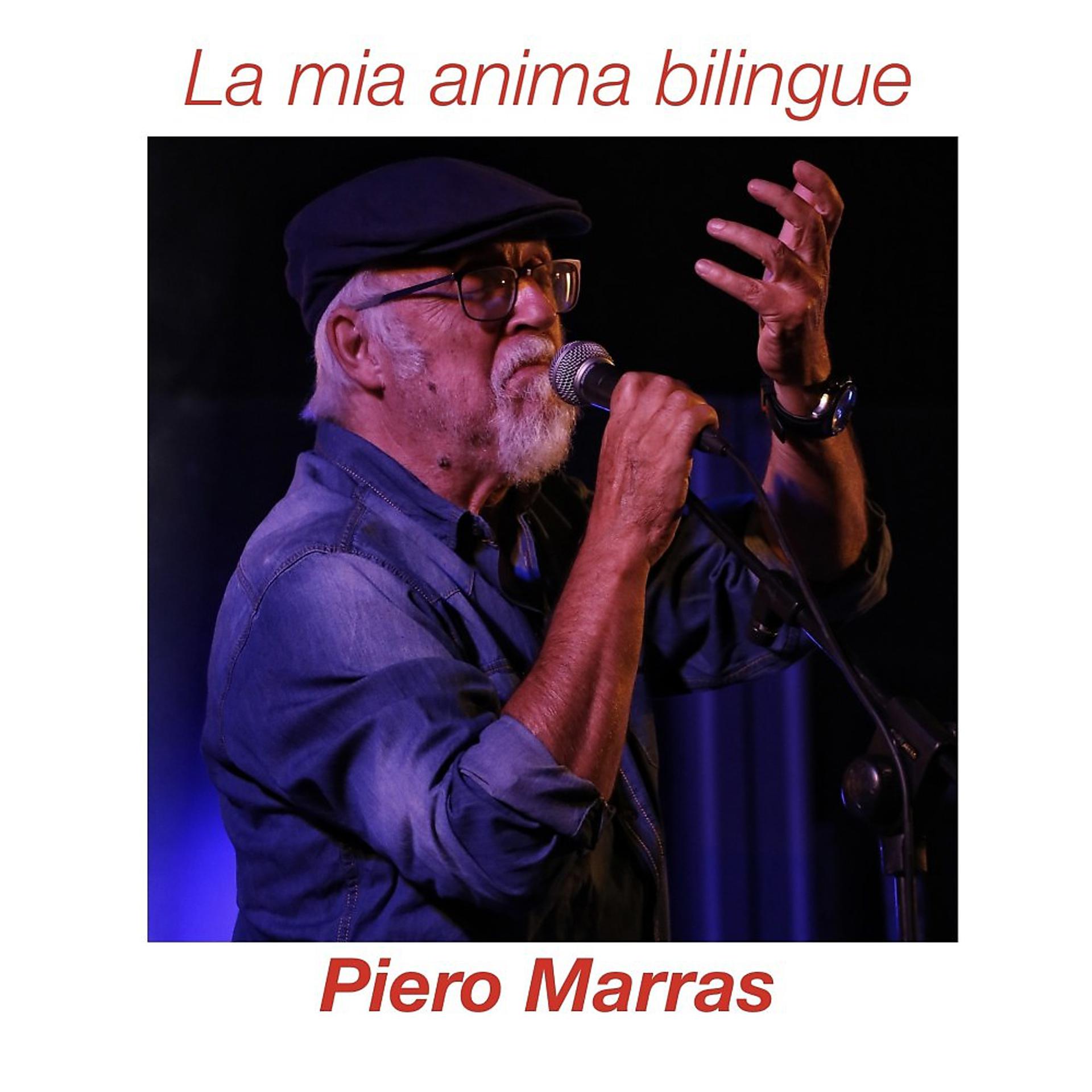 Постер альбома La mia Anima Bilingue (Copy)