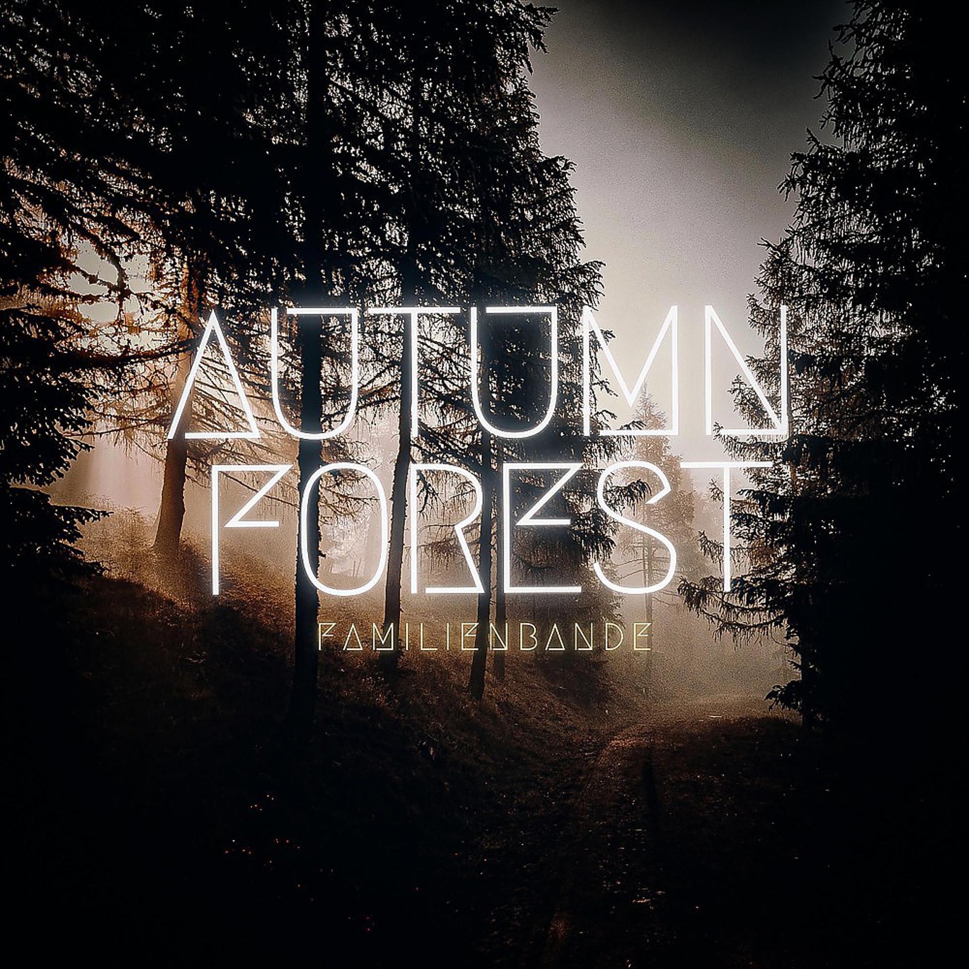 Постер альбома Autumn Forest
