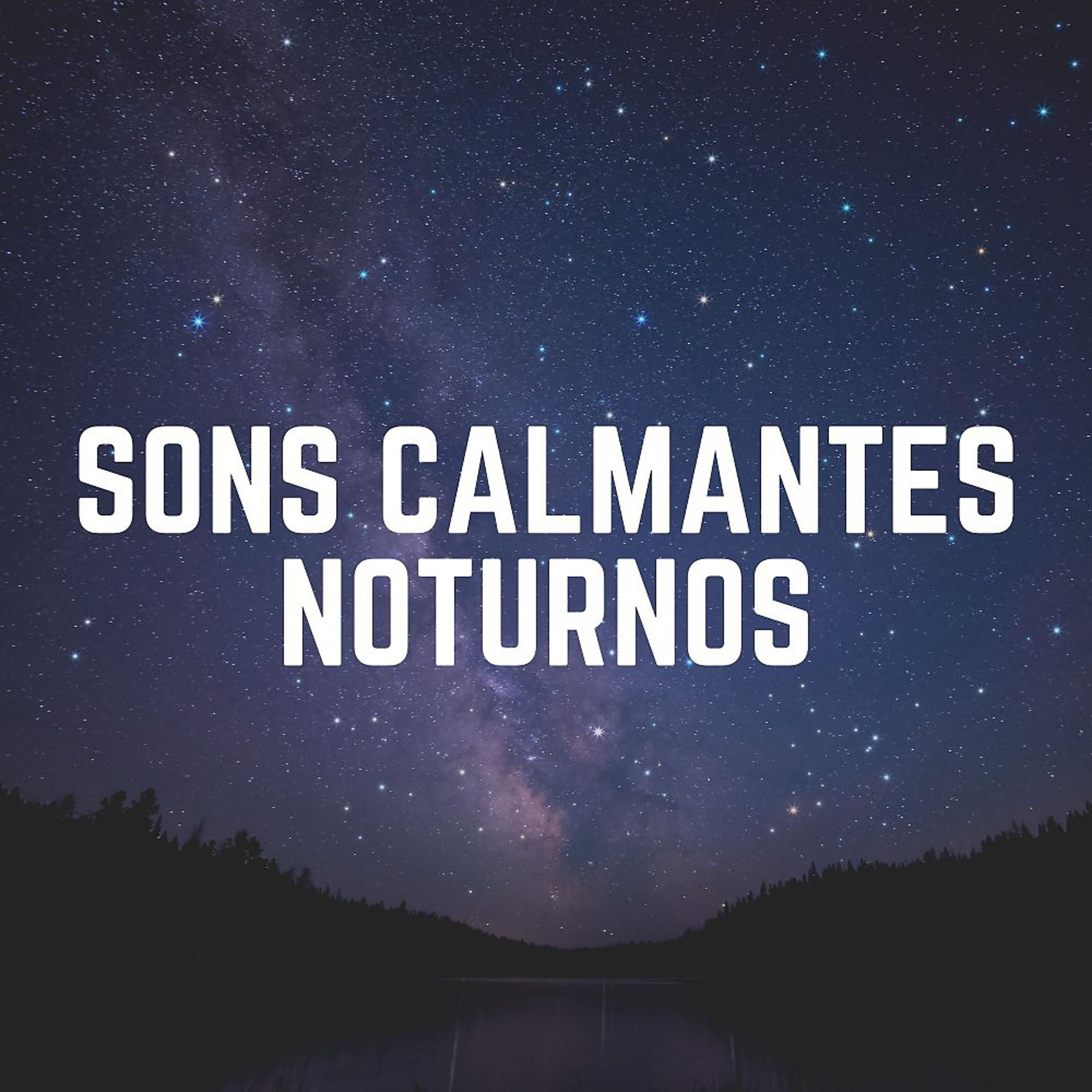Постер альбома Sons Calmantes Noturnos
