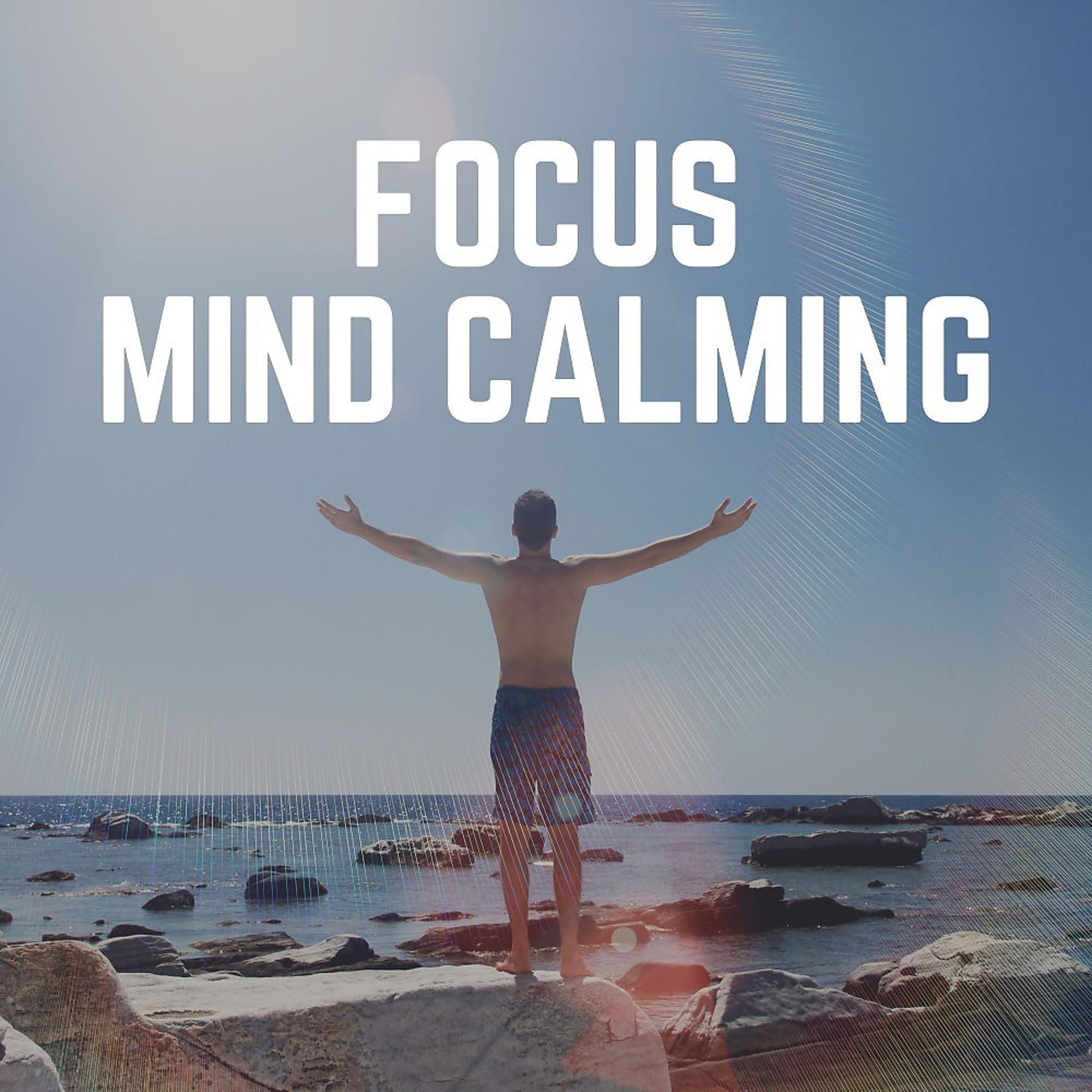Постер альбома Focus Mind Calming