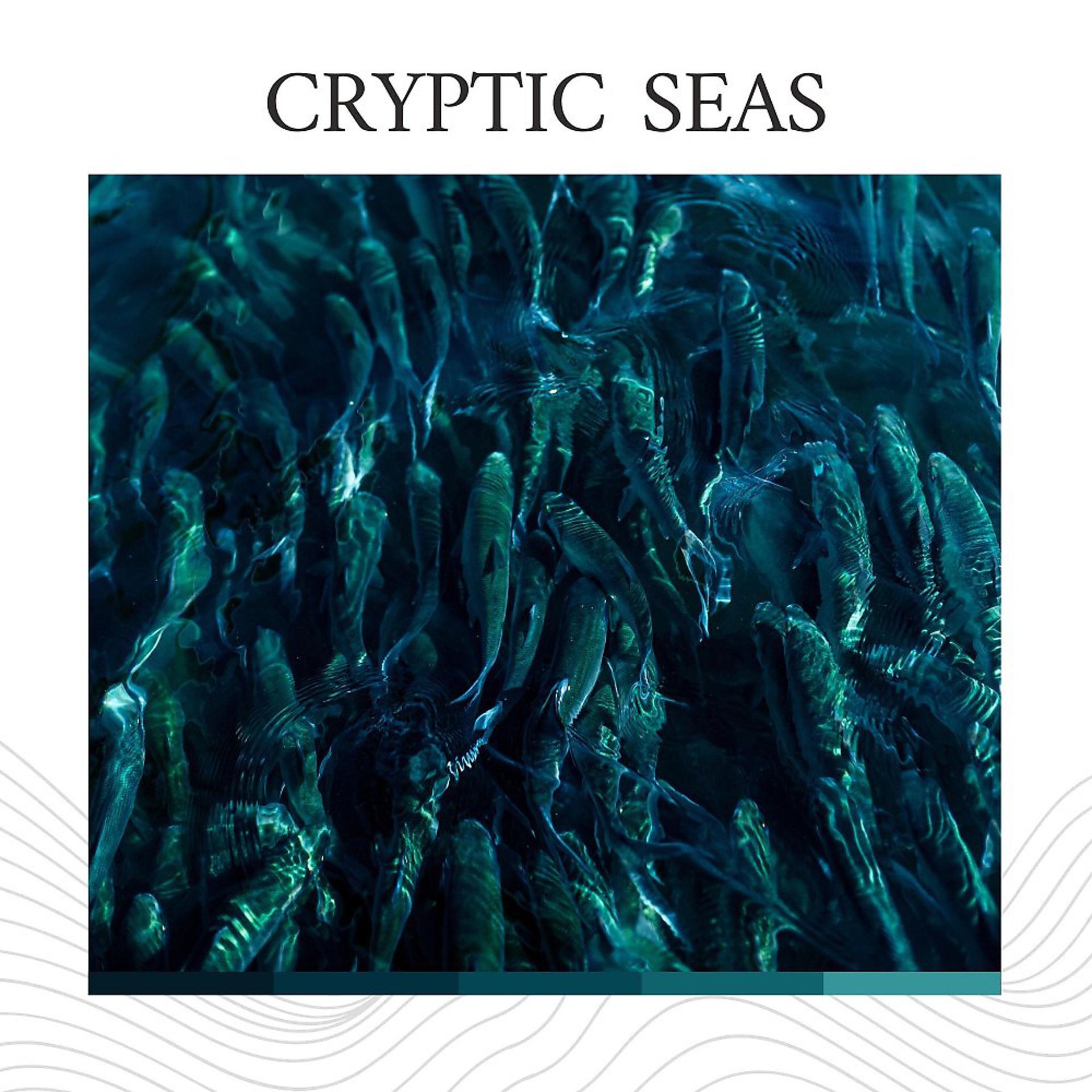 Постер альбома Cryptic Seas