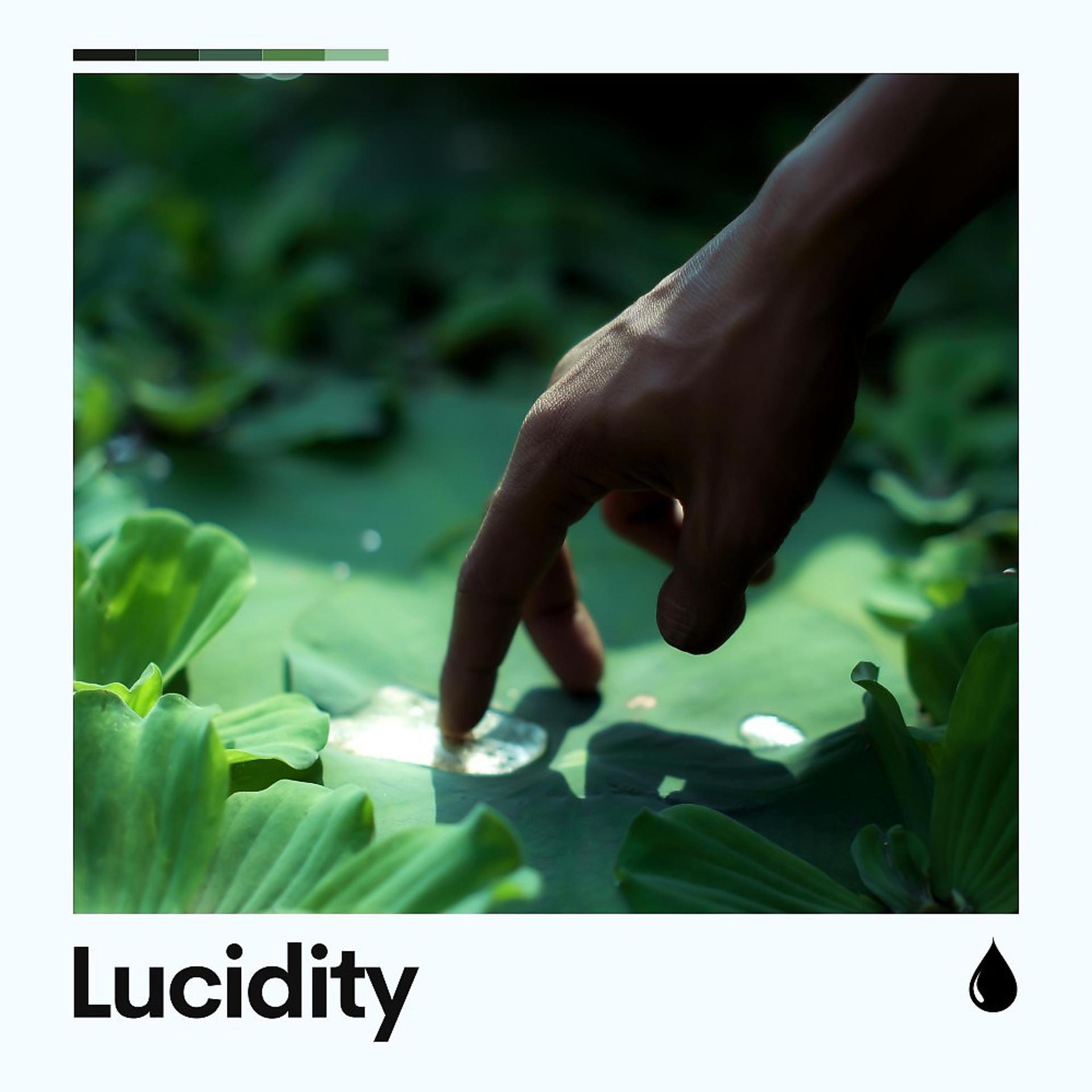 Постер альбома Lucidity