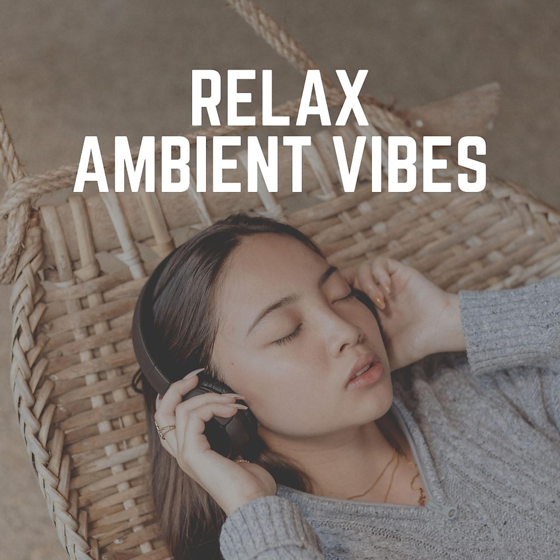 Постер альбома Relax Ambient Vibes