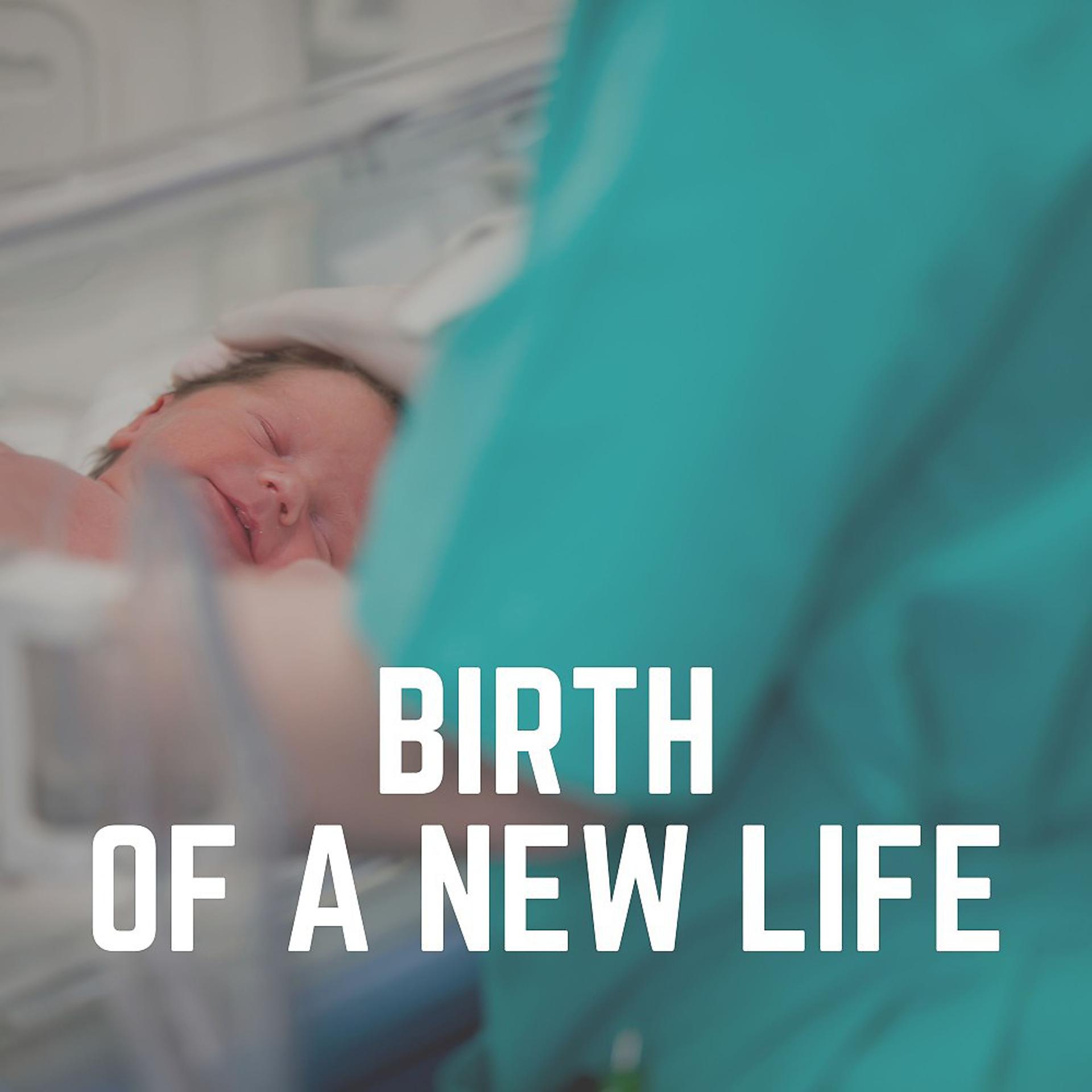 Постер альбома Birth of a New Life