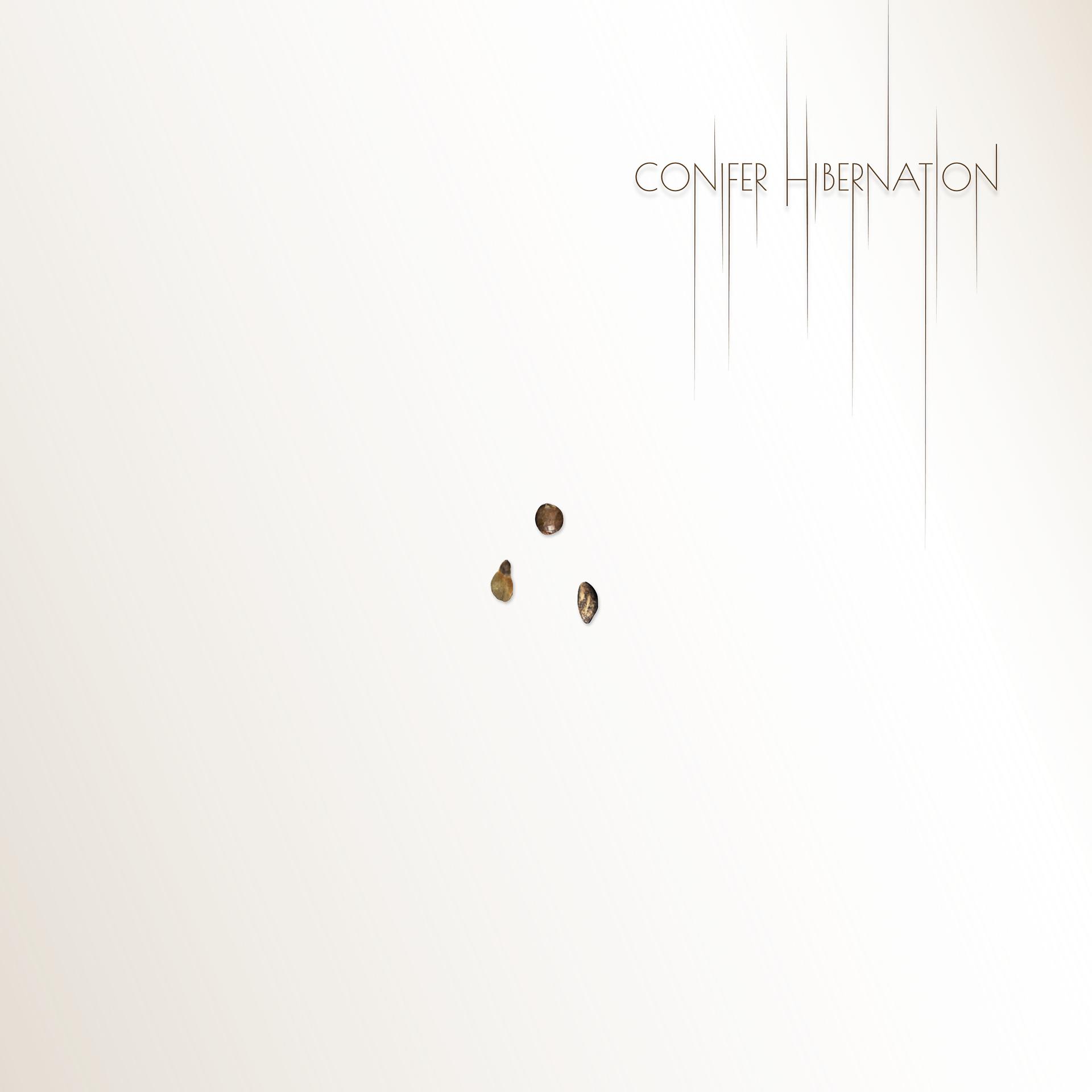 Постер альбома Conifer Hibernation
