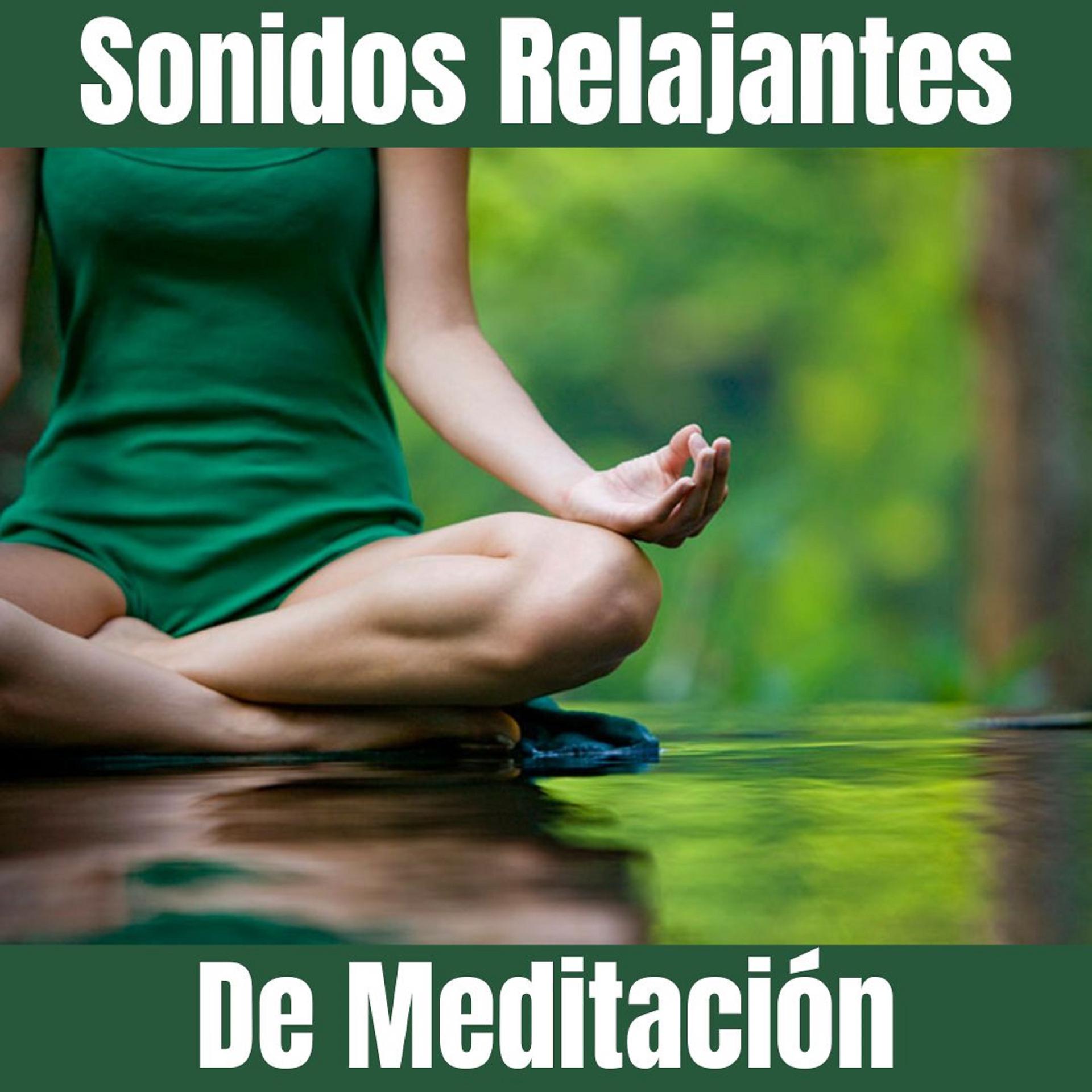 Постер альбома Sonidos Relajantes De Meditación