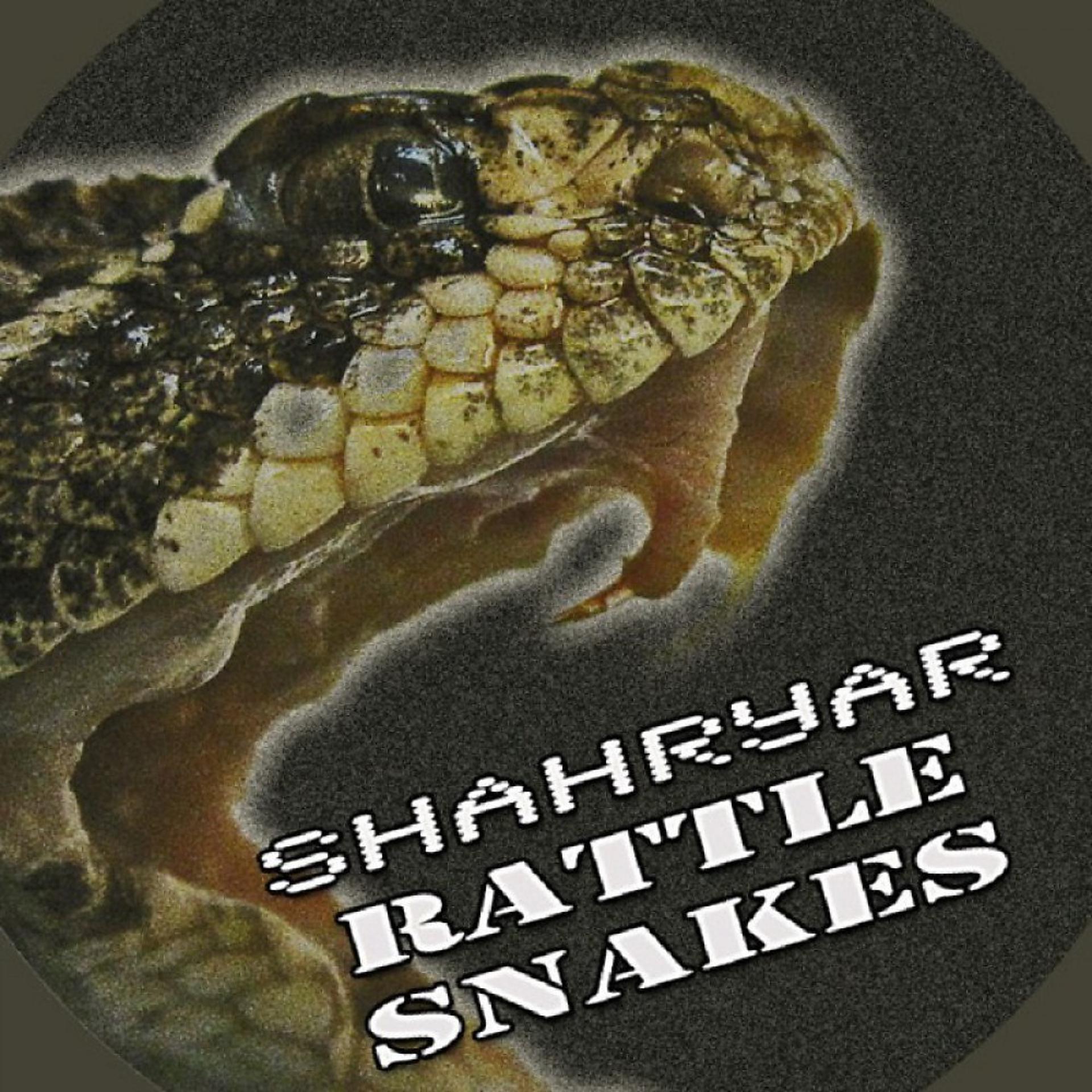 Постер альбома Rattle Snakes (Original Mix)