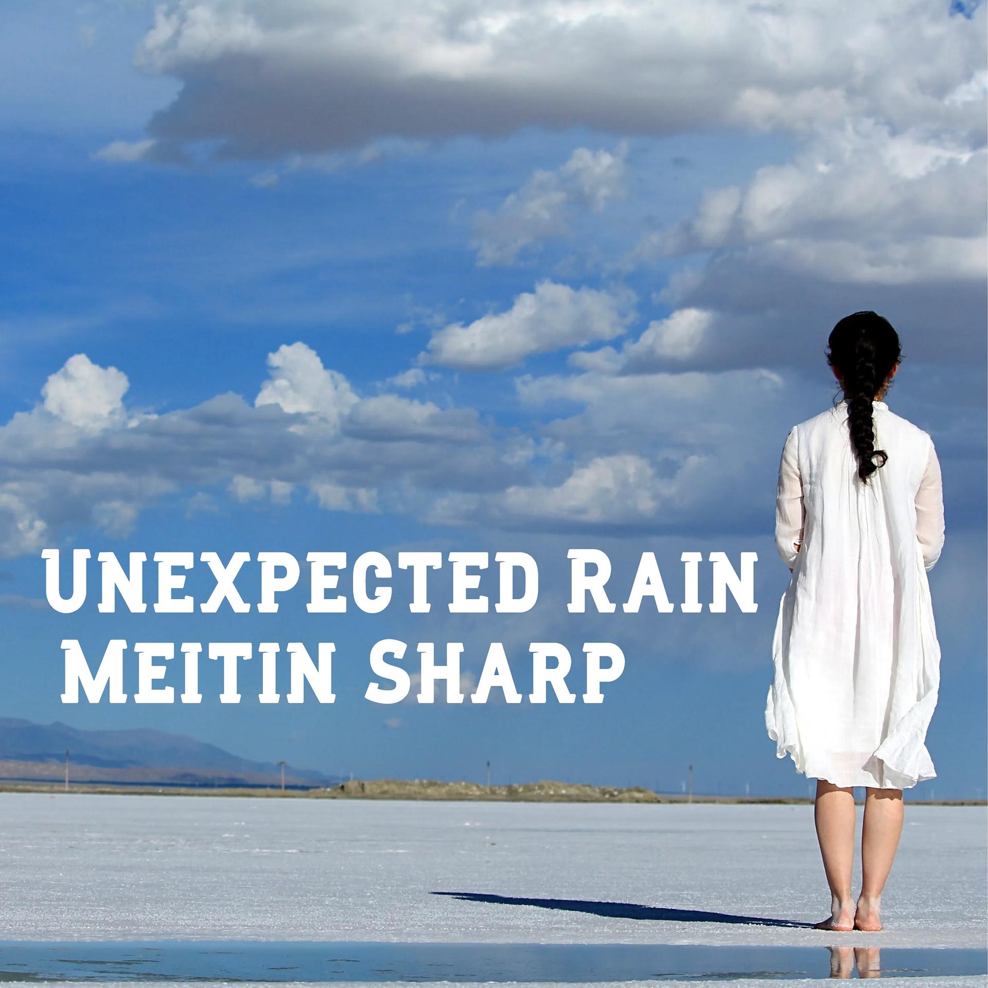 Постер альбома Unexpected Rain
