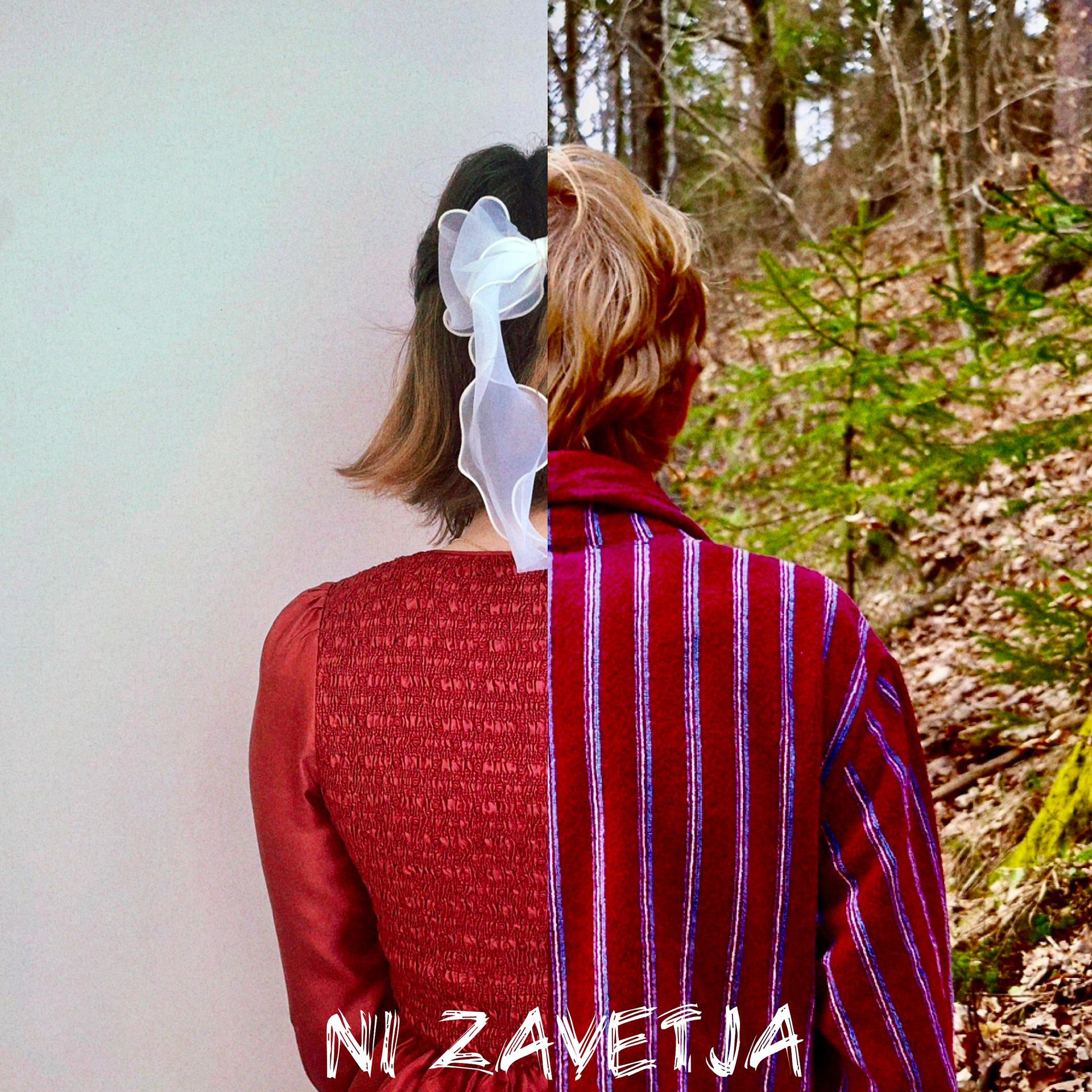 Постер альбома Ni zavetja