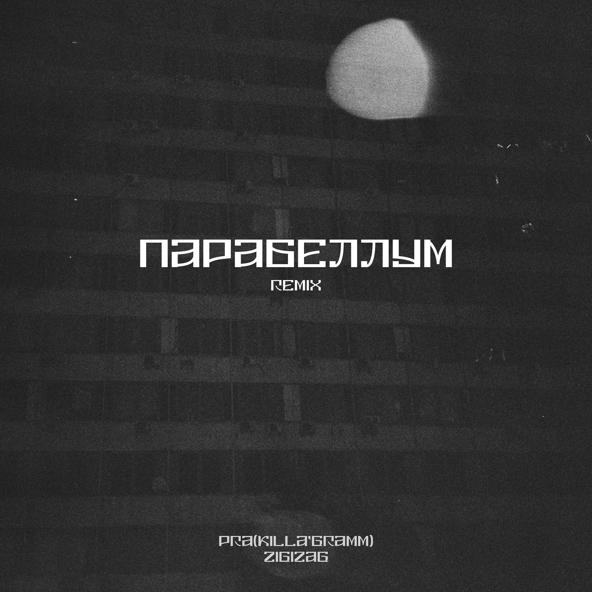 Постер альбома Парабеллум (Remix)