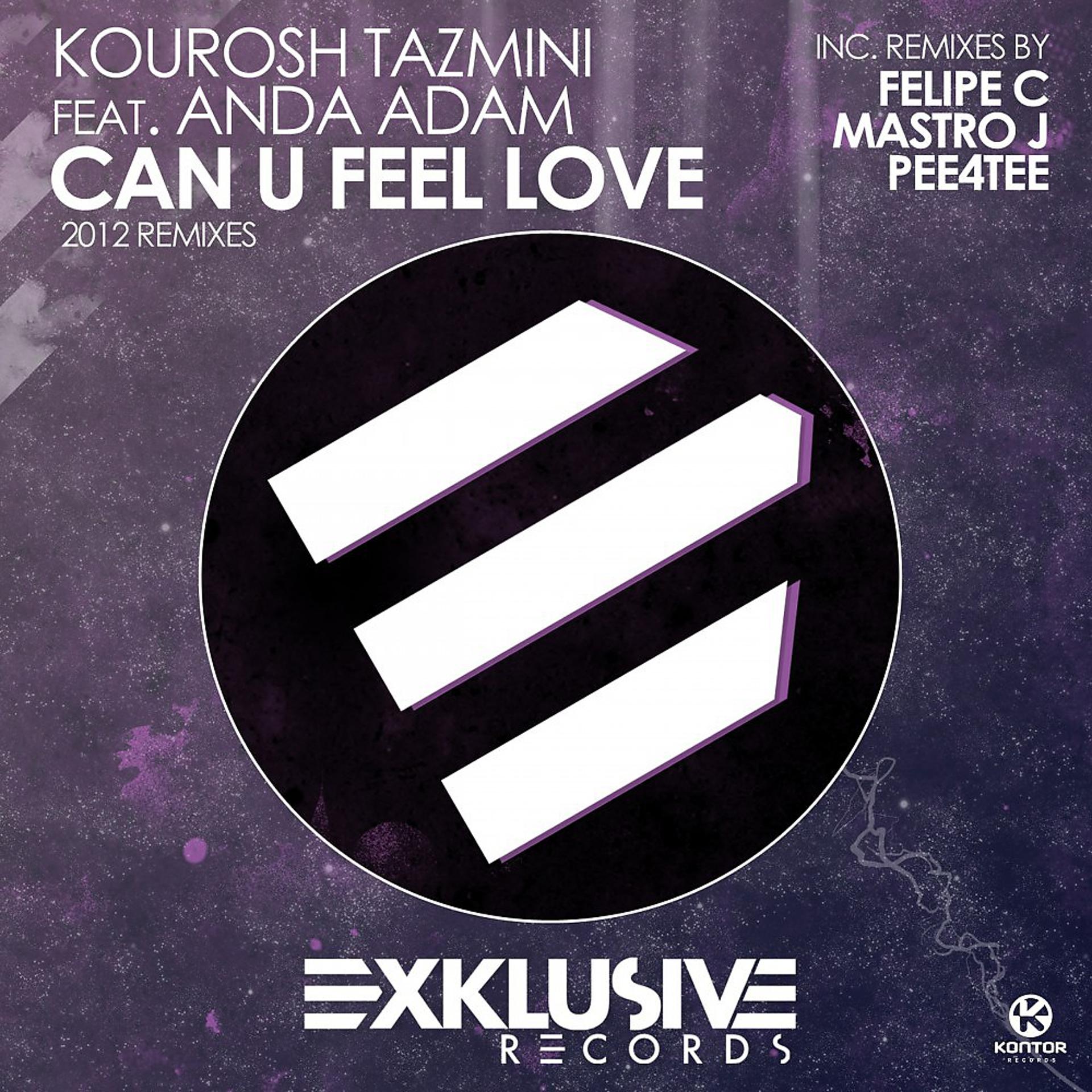 Постер альбома Can U Feel Love (2012 Remixes)