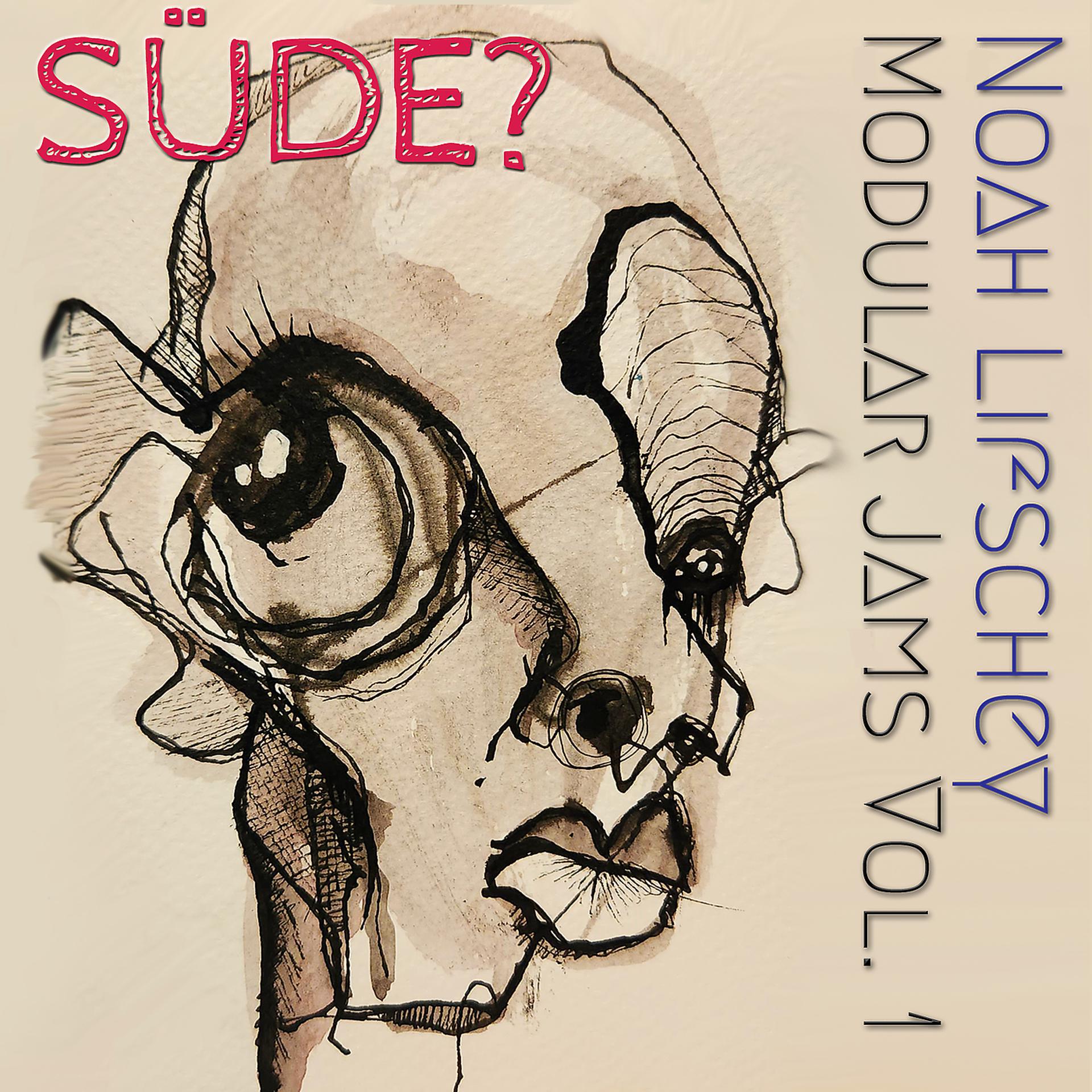 Постер альбома Süde? Modular Jams, Vol. 1