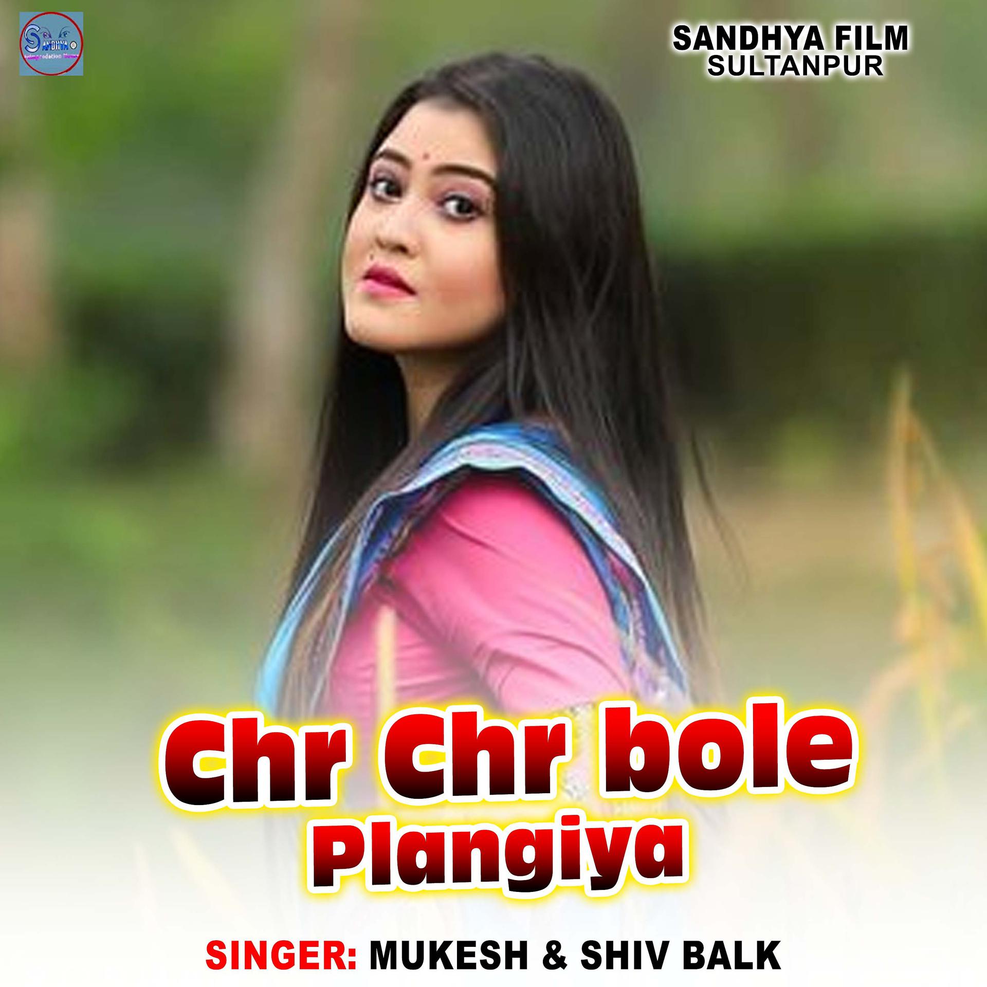 Постер альбома Chr Chr Bole Plangiya