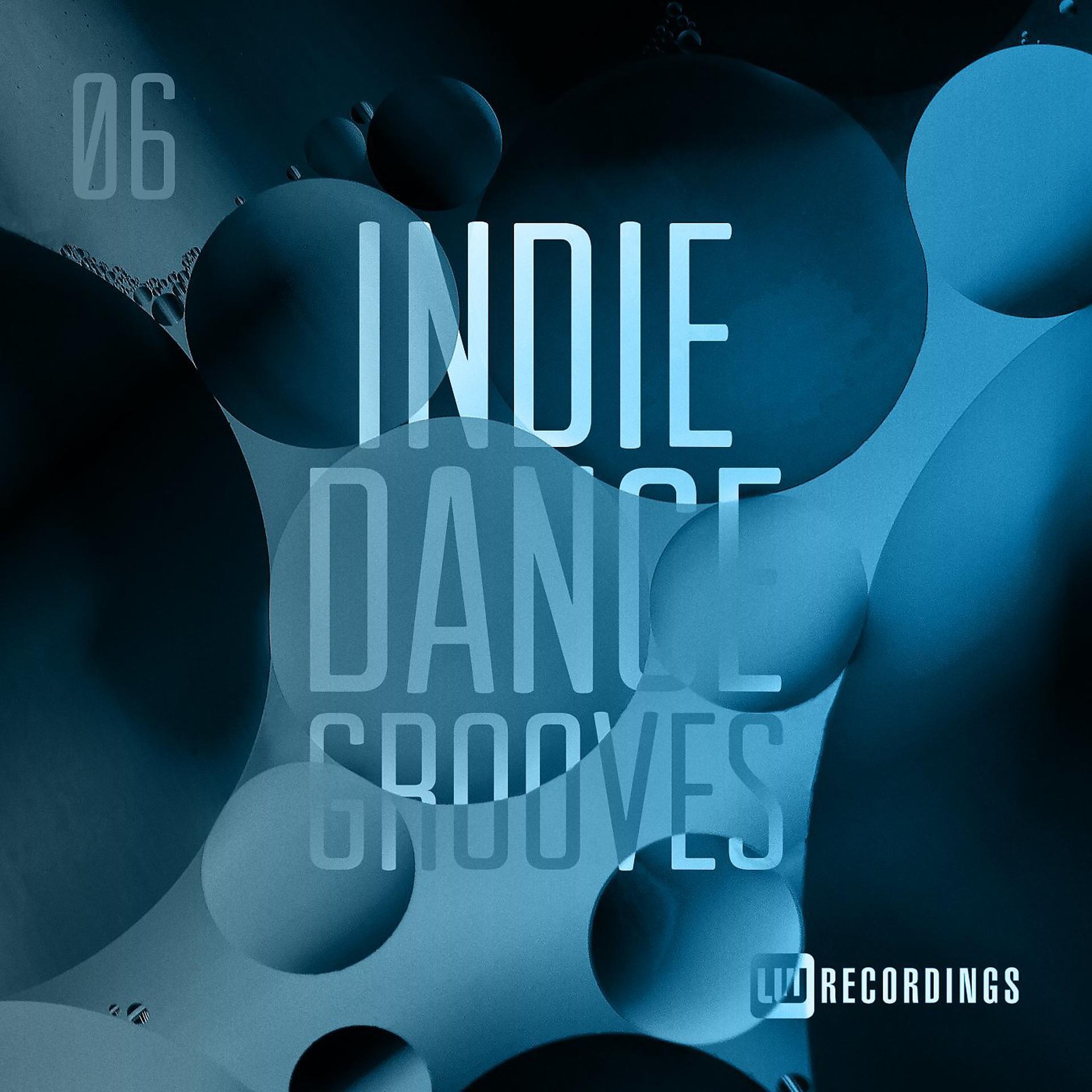 Постер альбома Indie Dance Grooves, Vol. 06