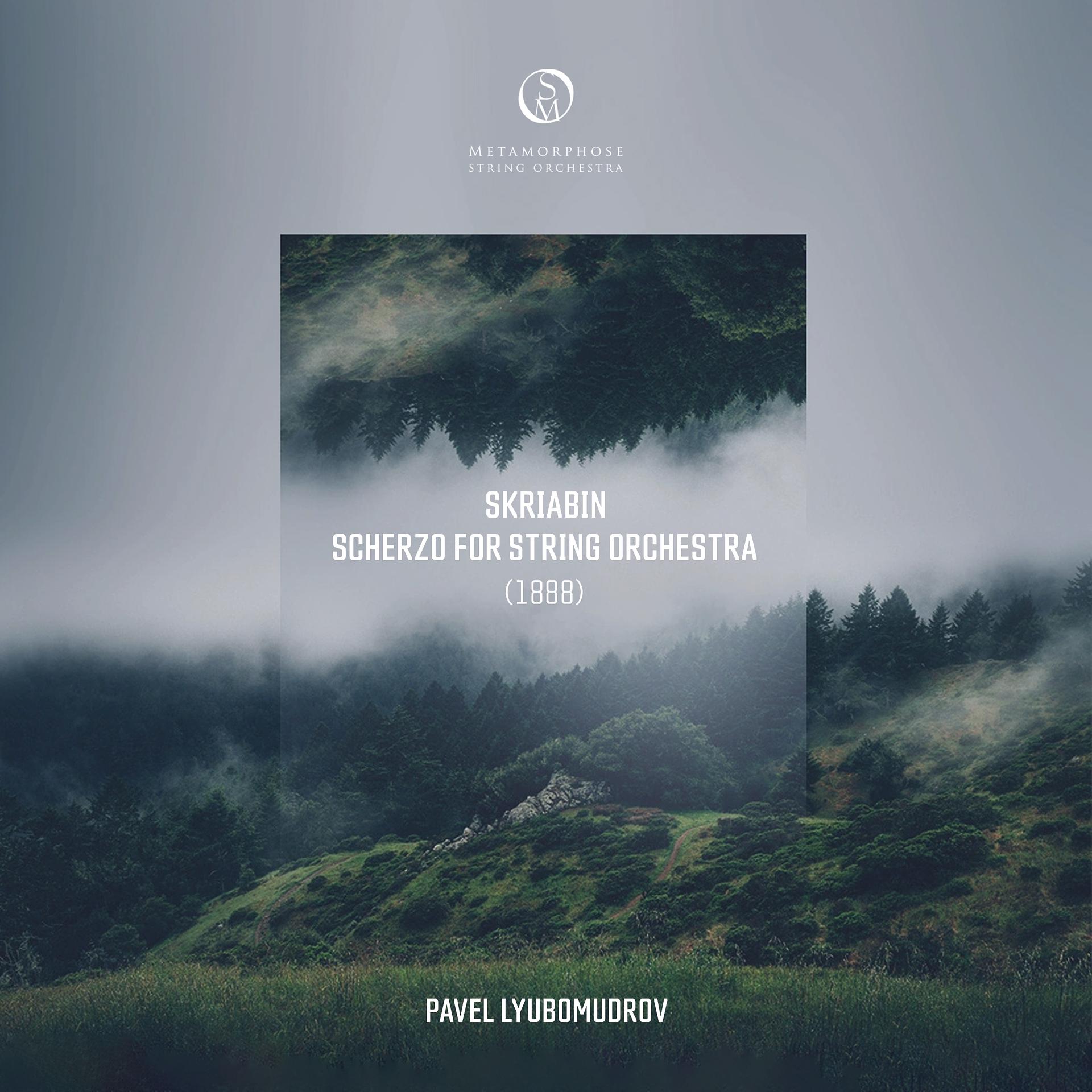 Постер альбома Scherzo for String Orchestra