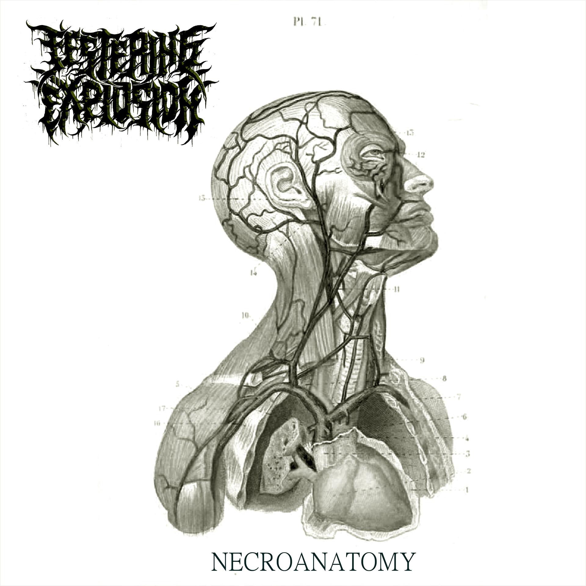Постер альбома Necroanatomy