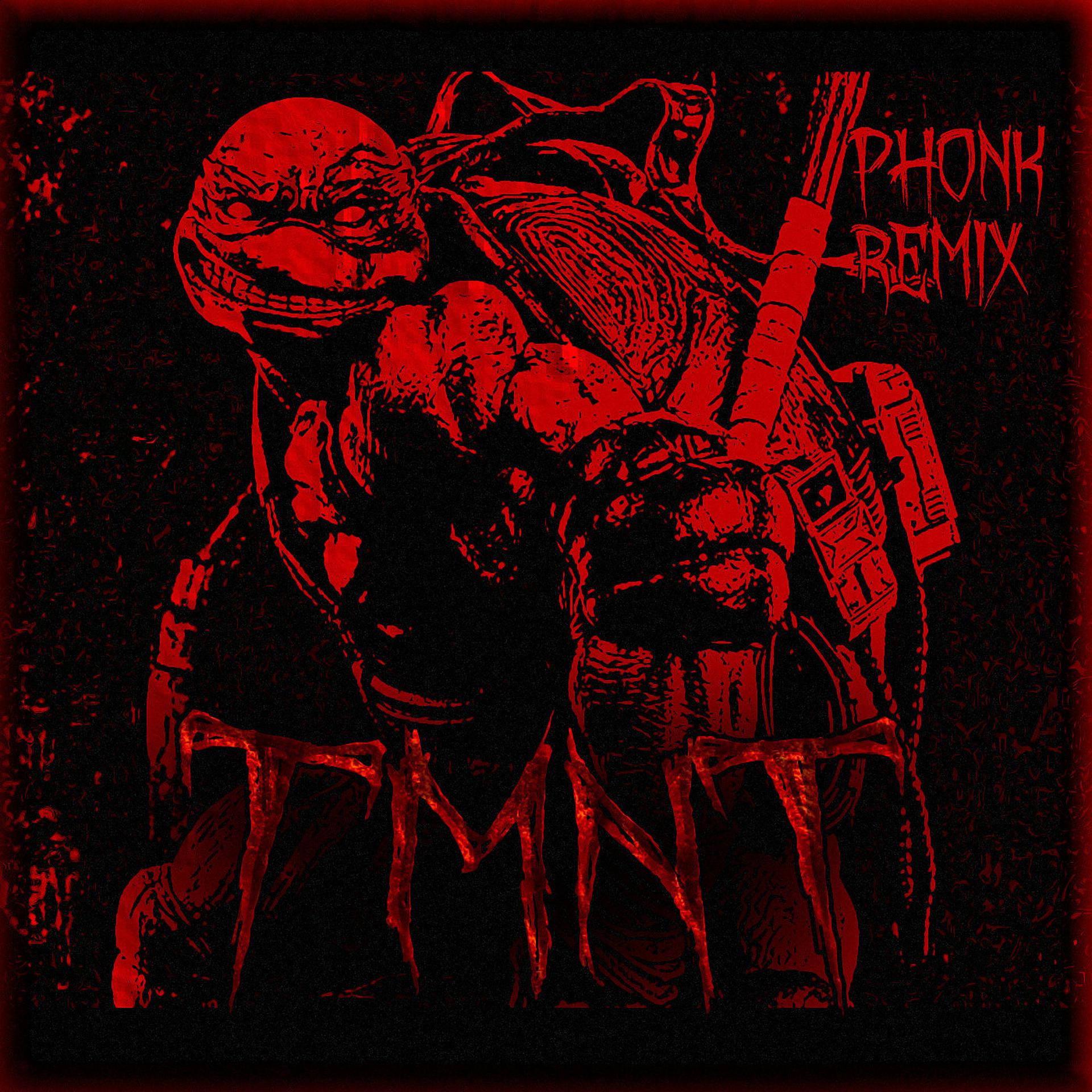 Постер альбома Teenage Mutant Ninja Turtles (Phonk Remix)