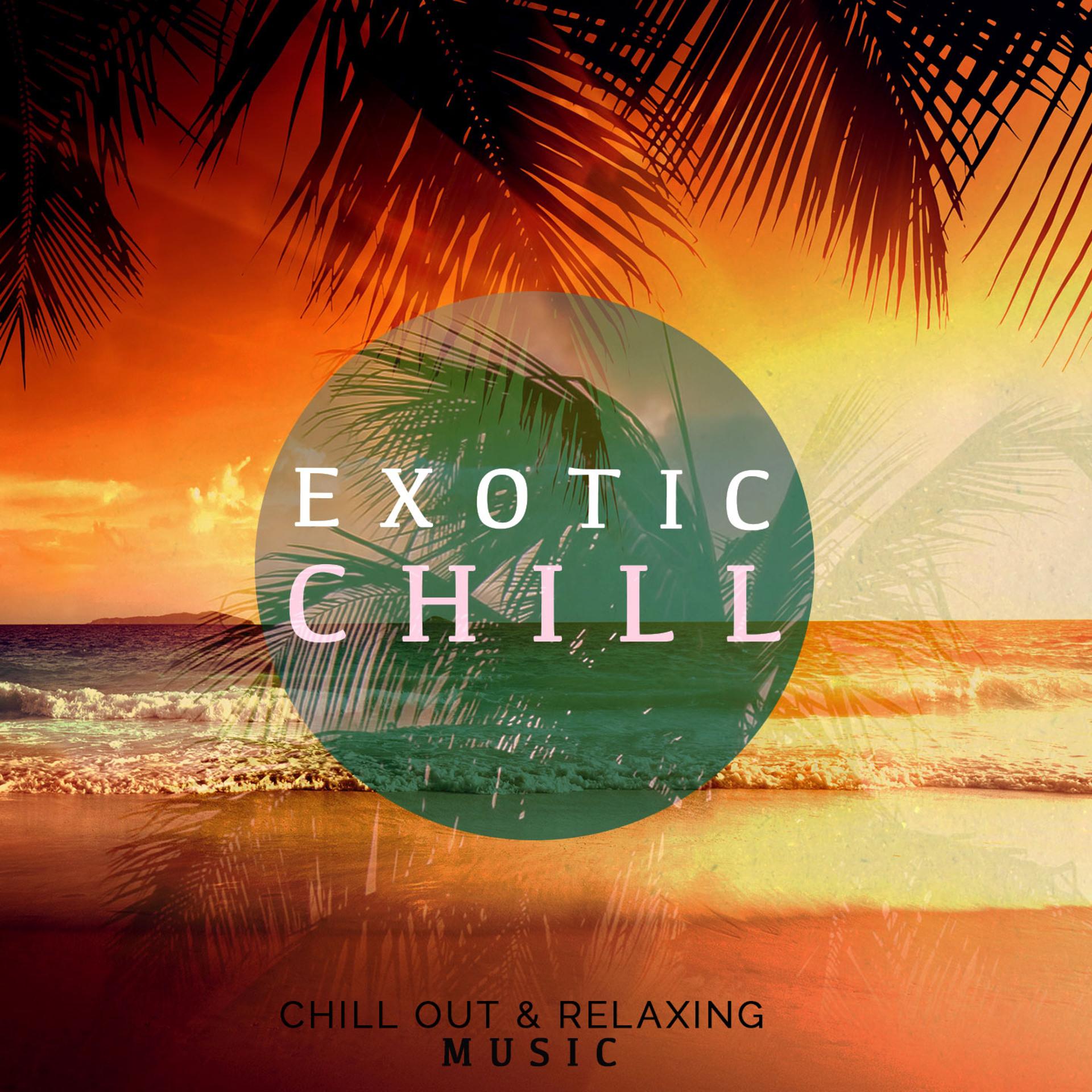 Постер альбома Exotic Chill, Vol. 1