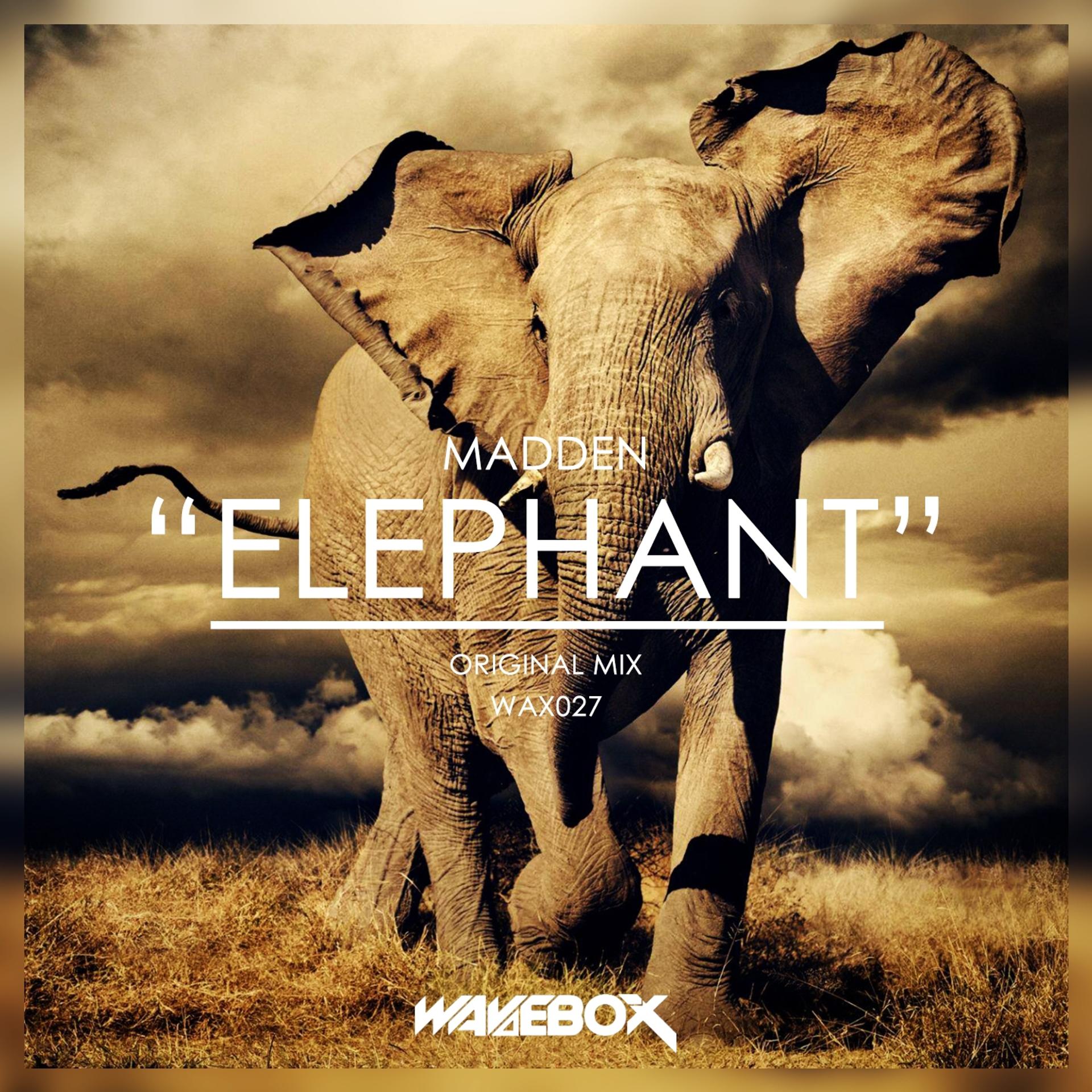 Постер альбома Elephant
