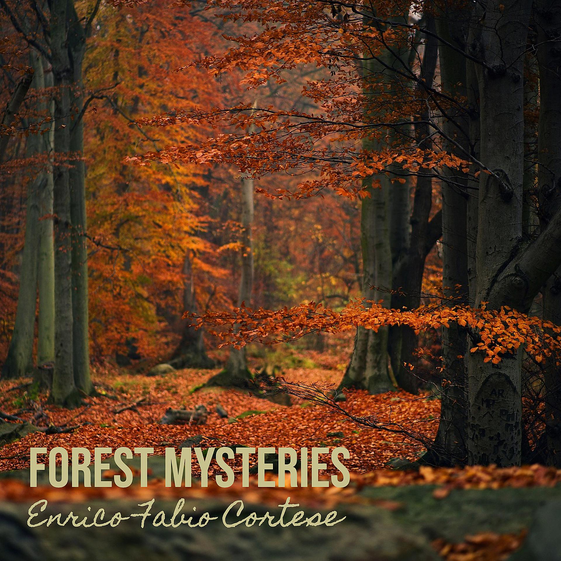 Постер альбома Forest Mysteries