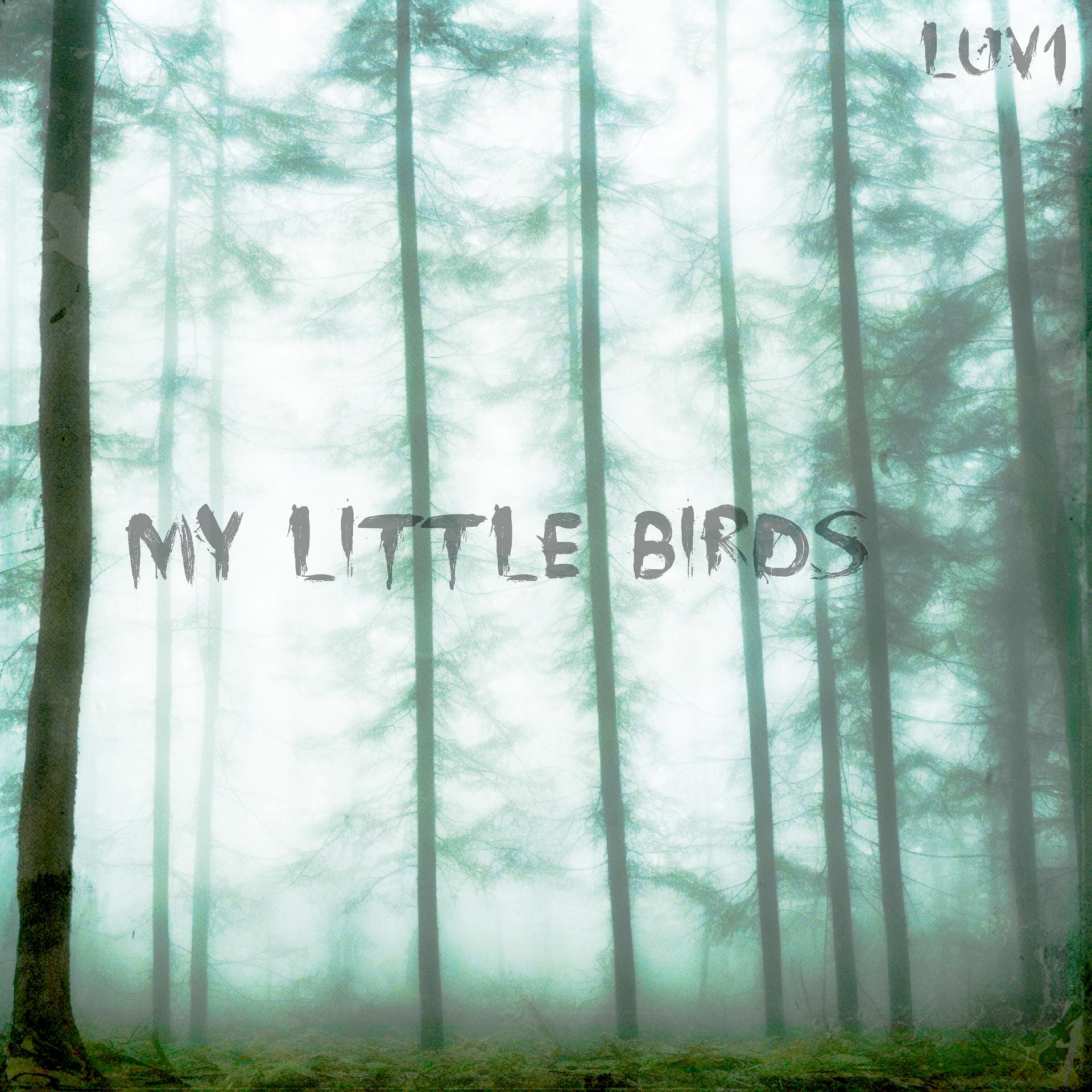 Постер альбома My Little Birds
