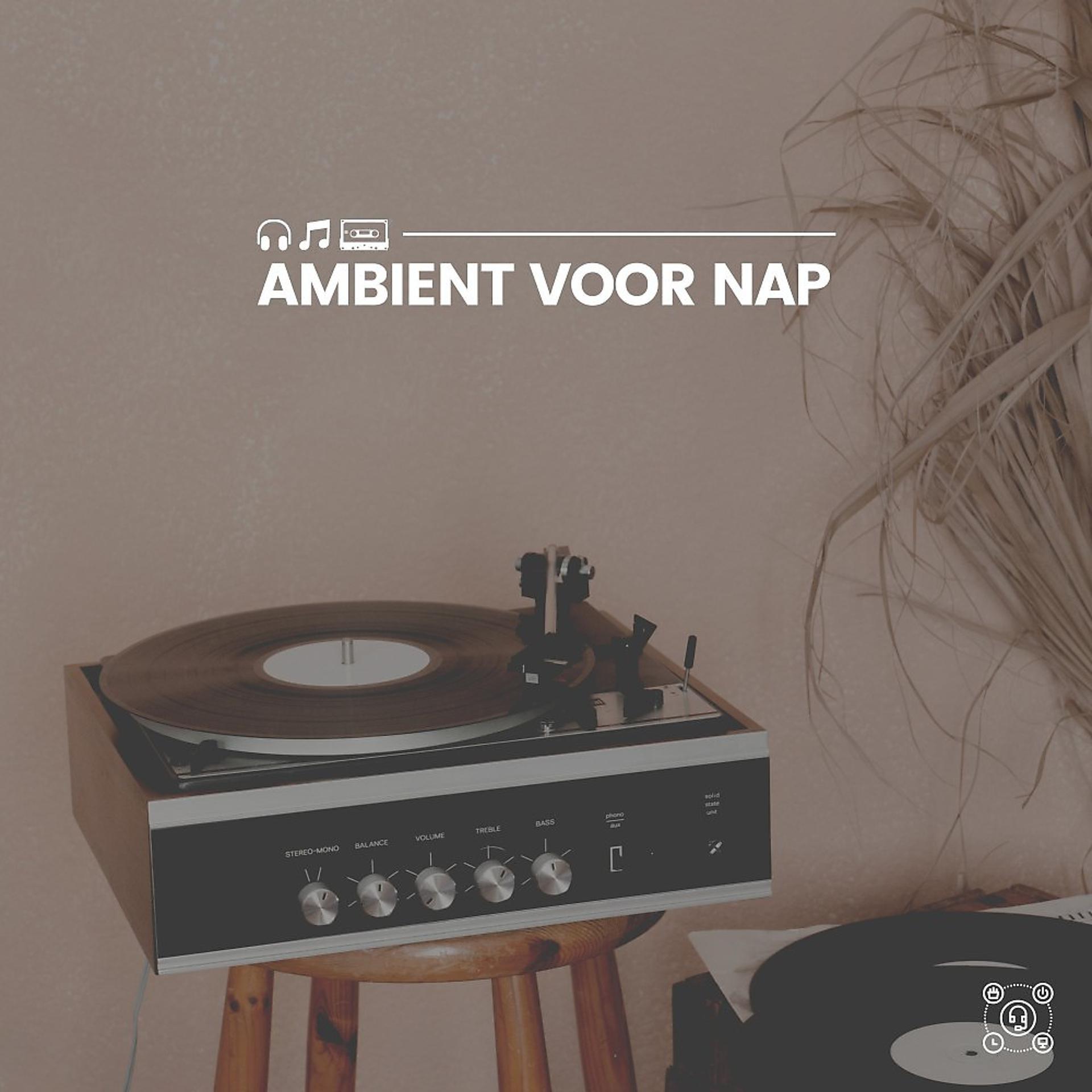 Постер альбома Ambient voor Nap