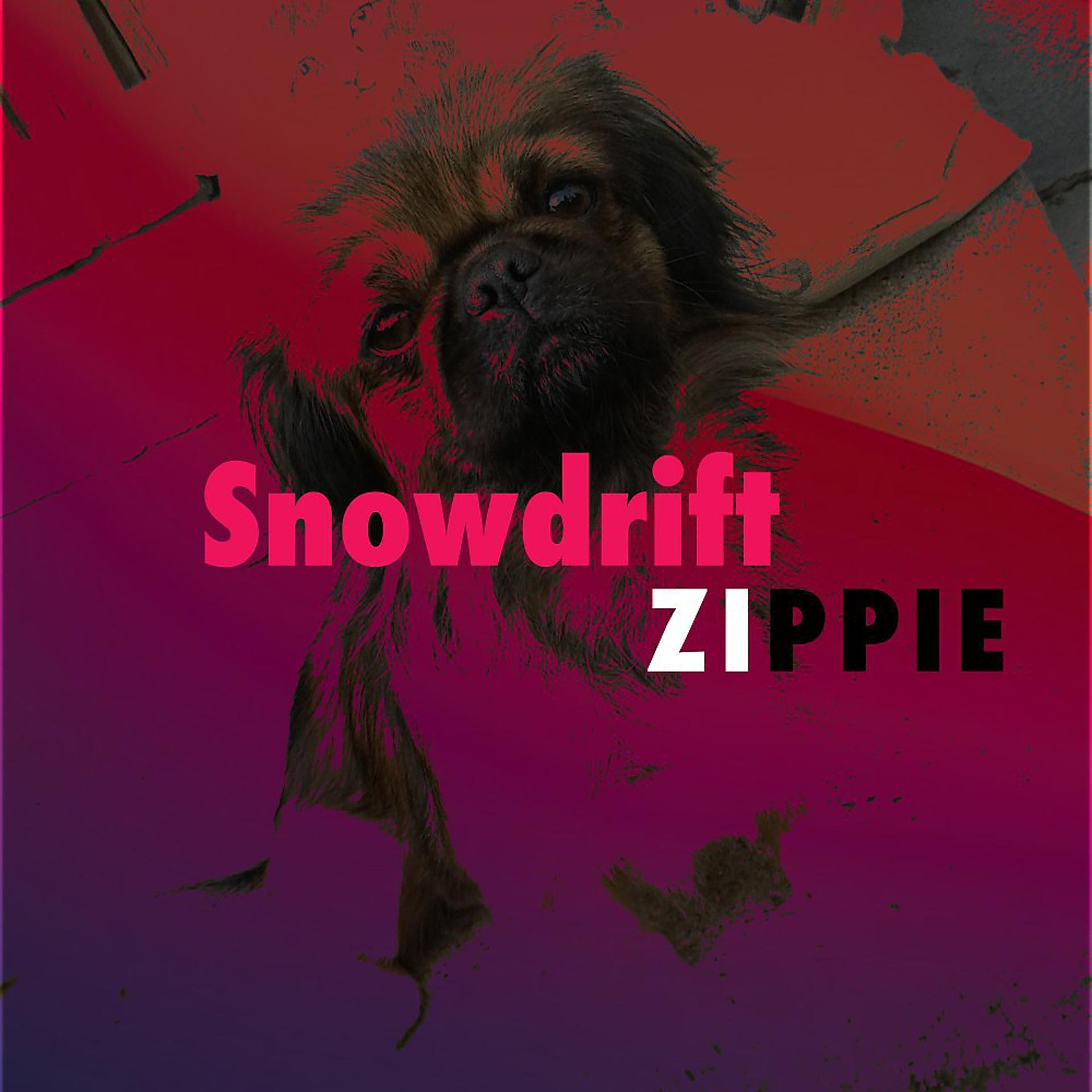 Постер альбома Snowdrift