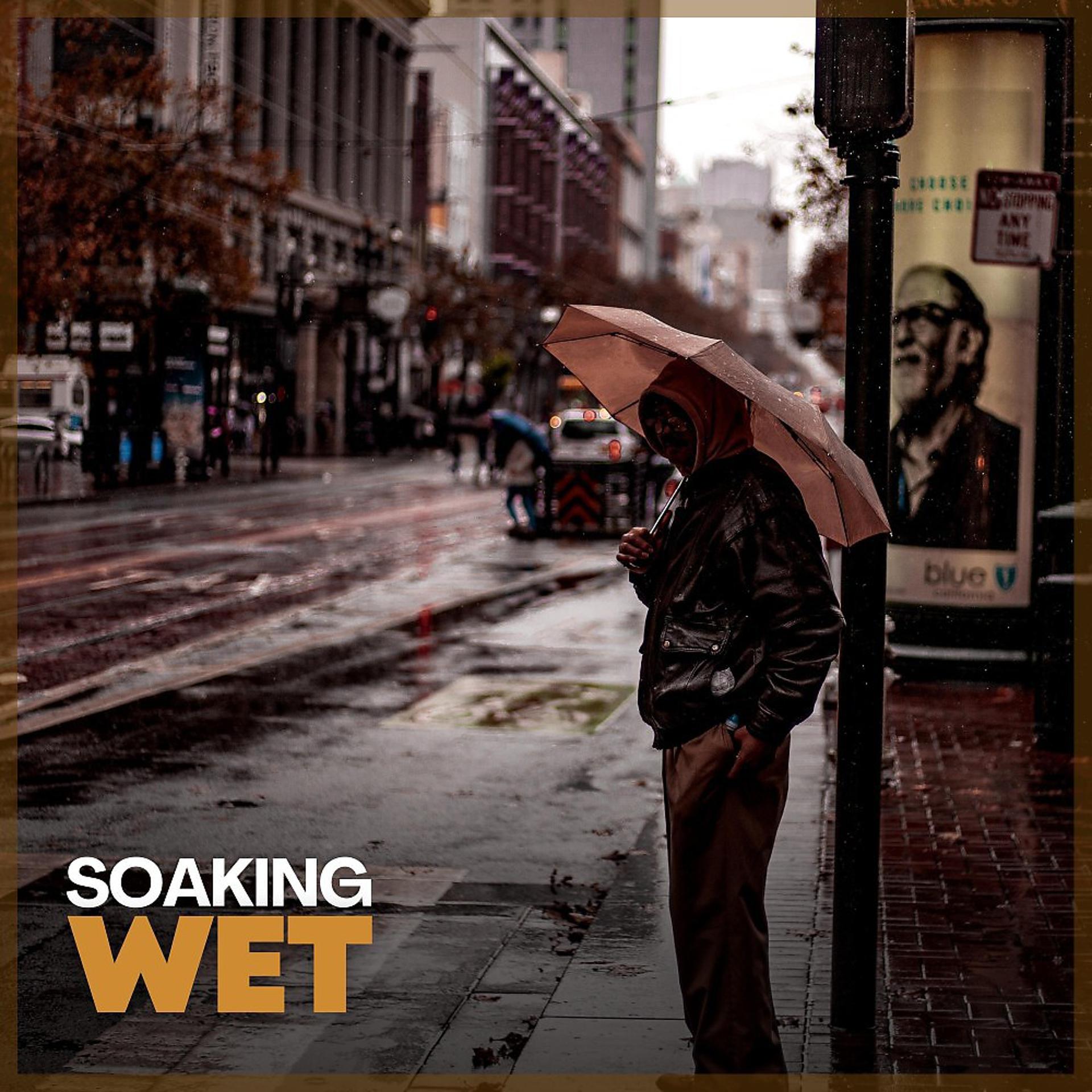 Постер альбома Soaking Wet