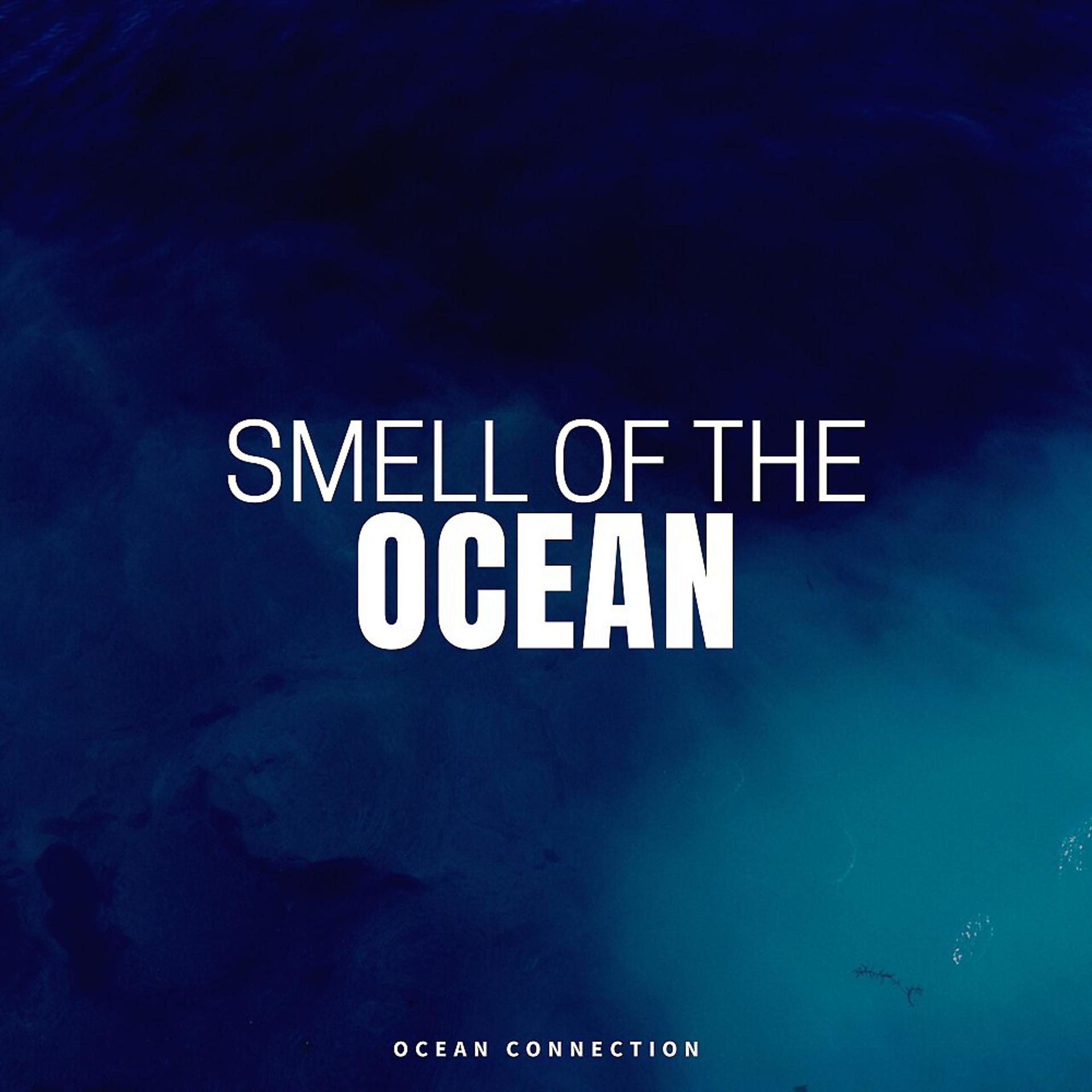 Постер альбома Smell of the Ocean