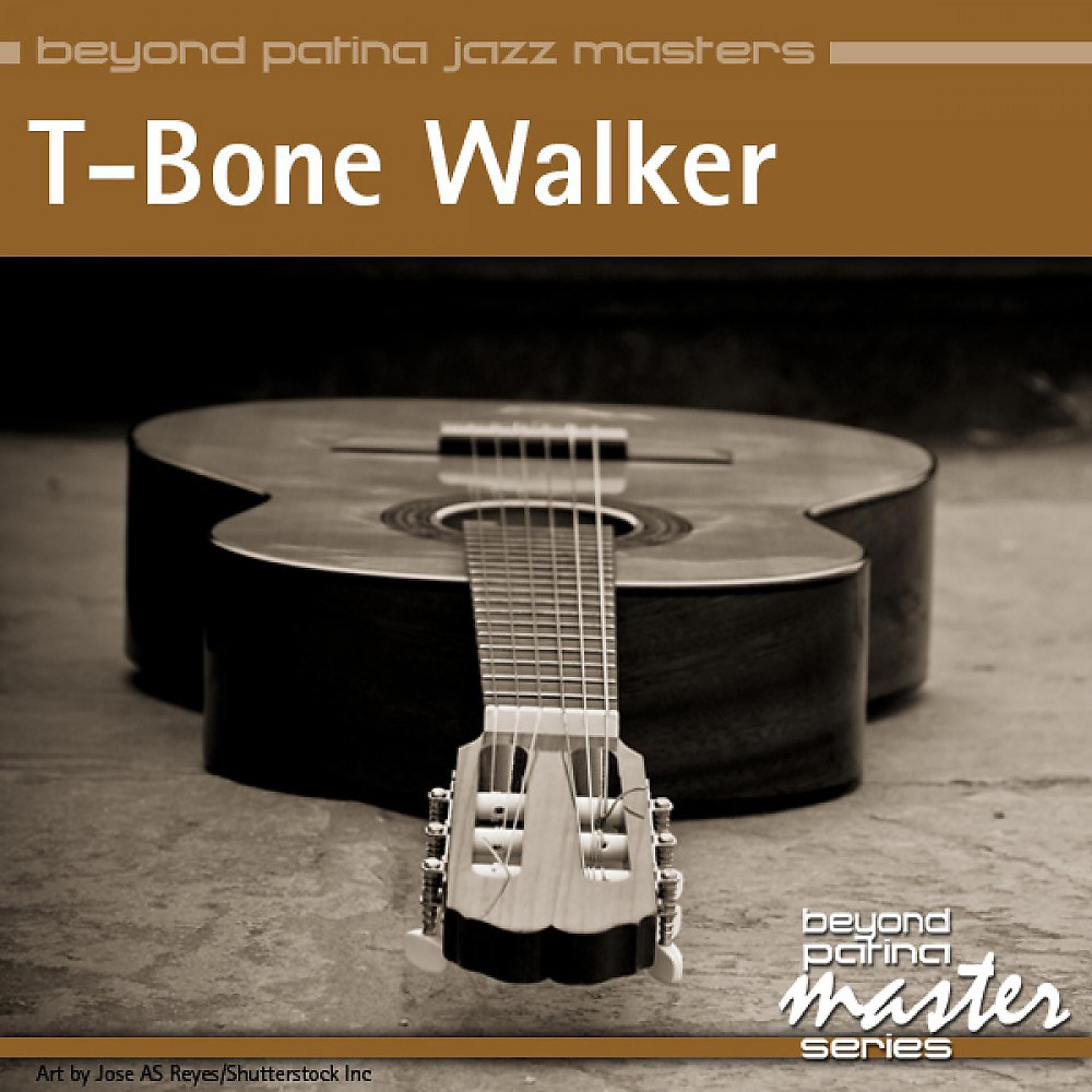 Постер альбома Beyond Patina Jazz Masters: T-Bone Walker