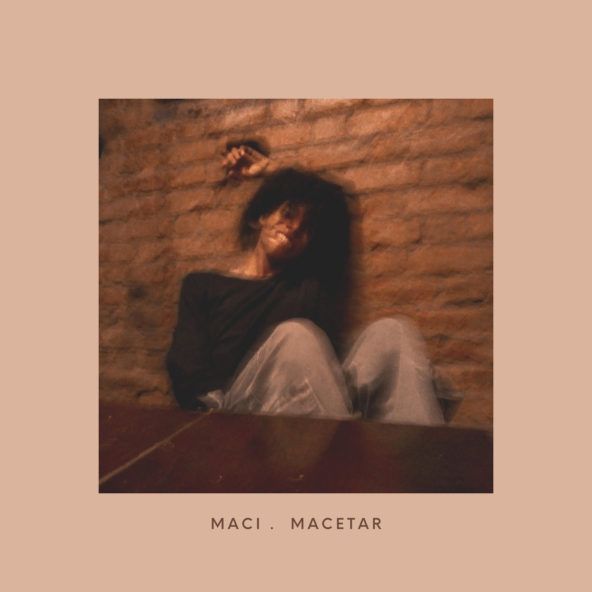 Постер альбома Macetar