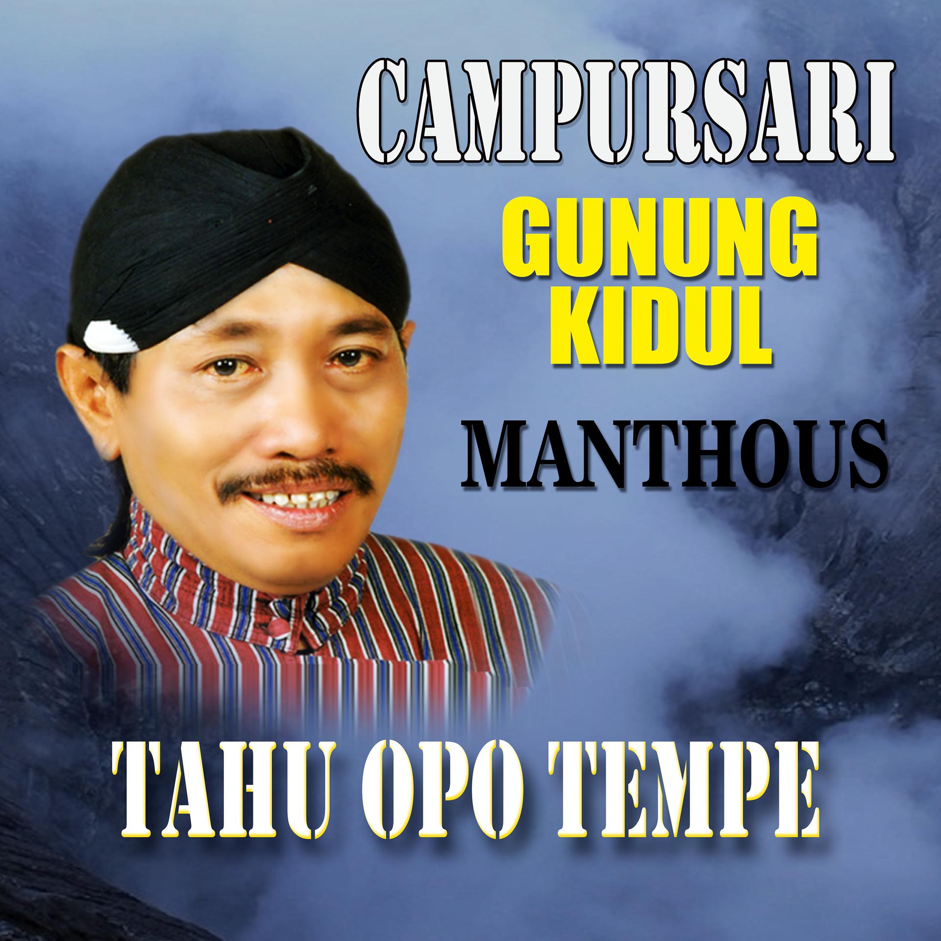 Постер альбома Tahu Opo Tempe