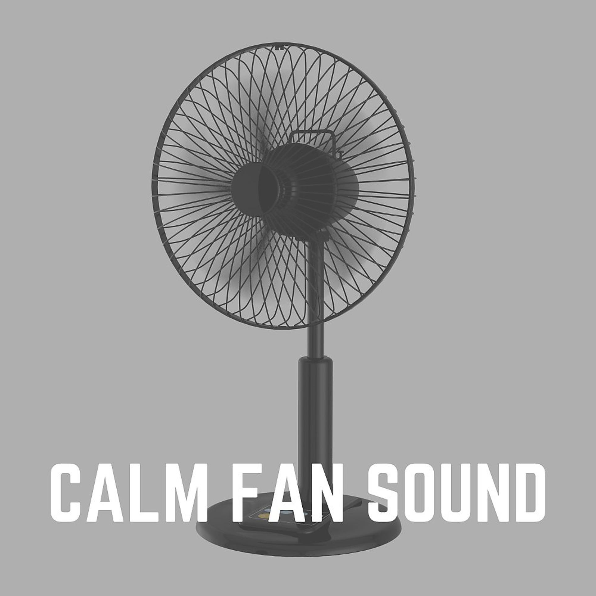 Постер альбома Calm Fan Sound