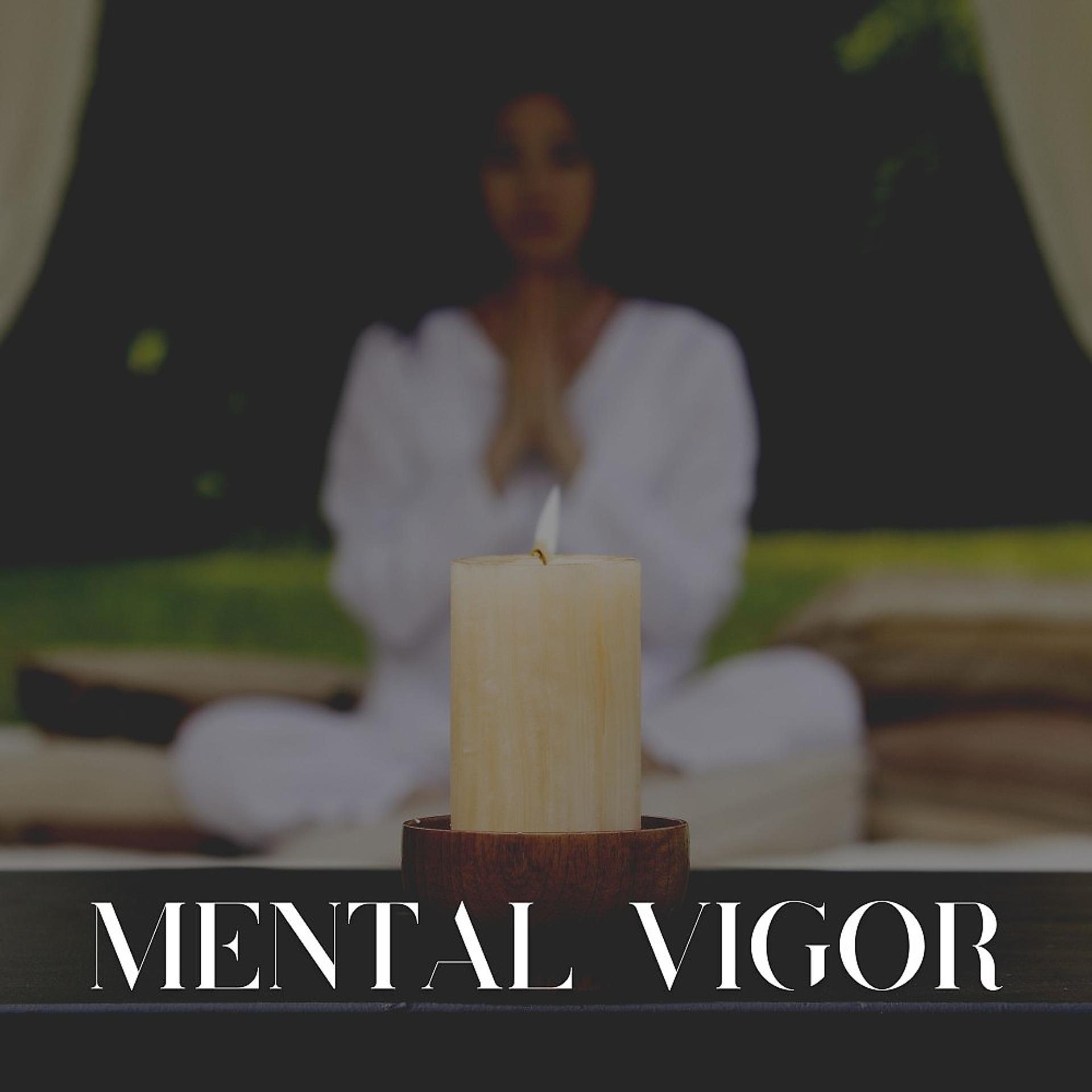 Постер альбома Mental Vigor