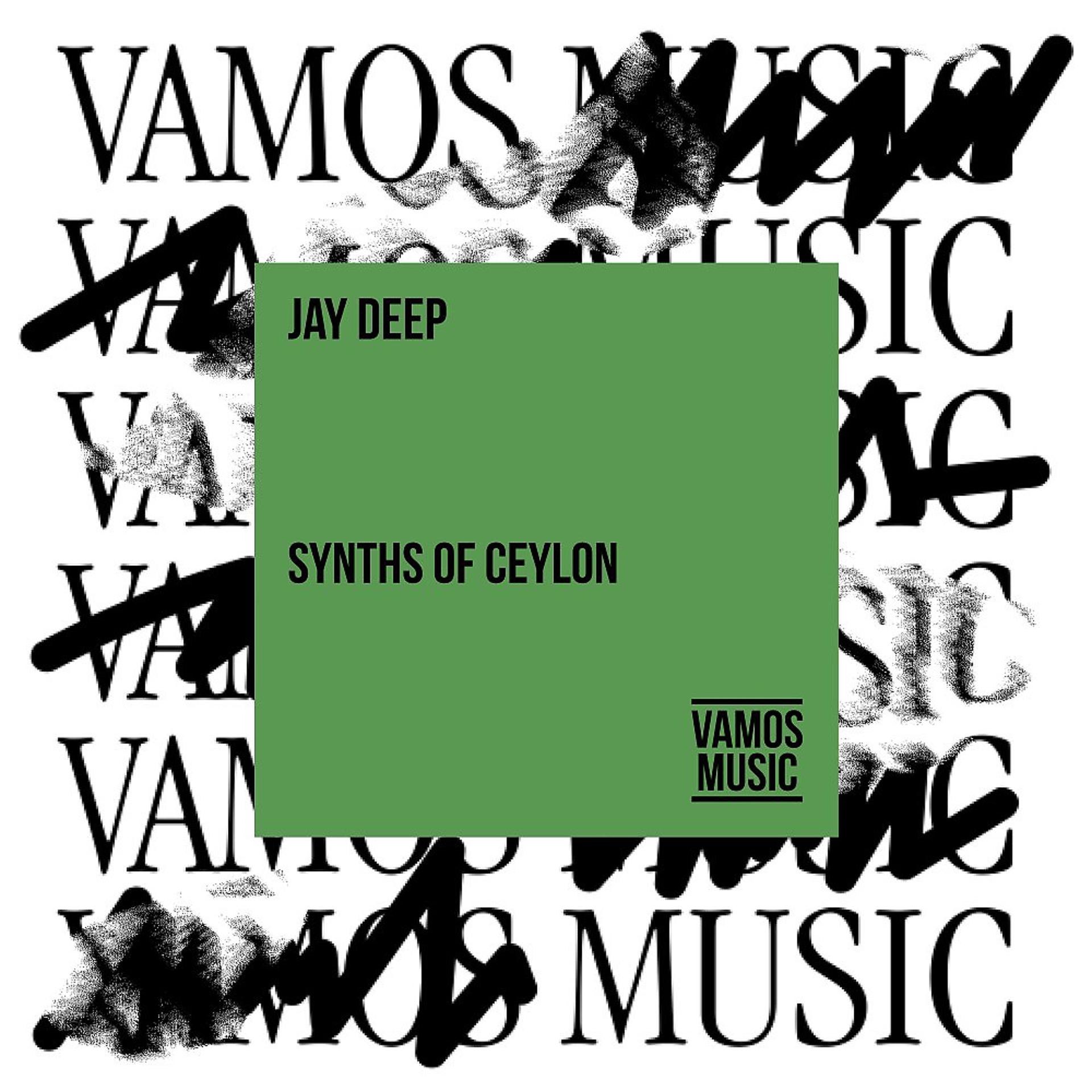 Постер альбома Synths of Ceylon