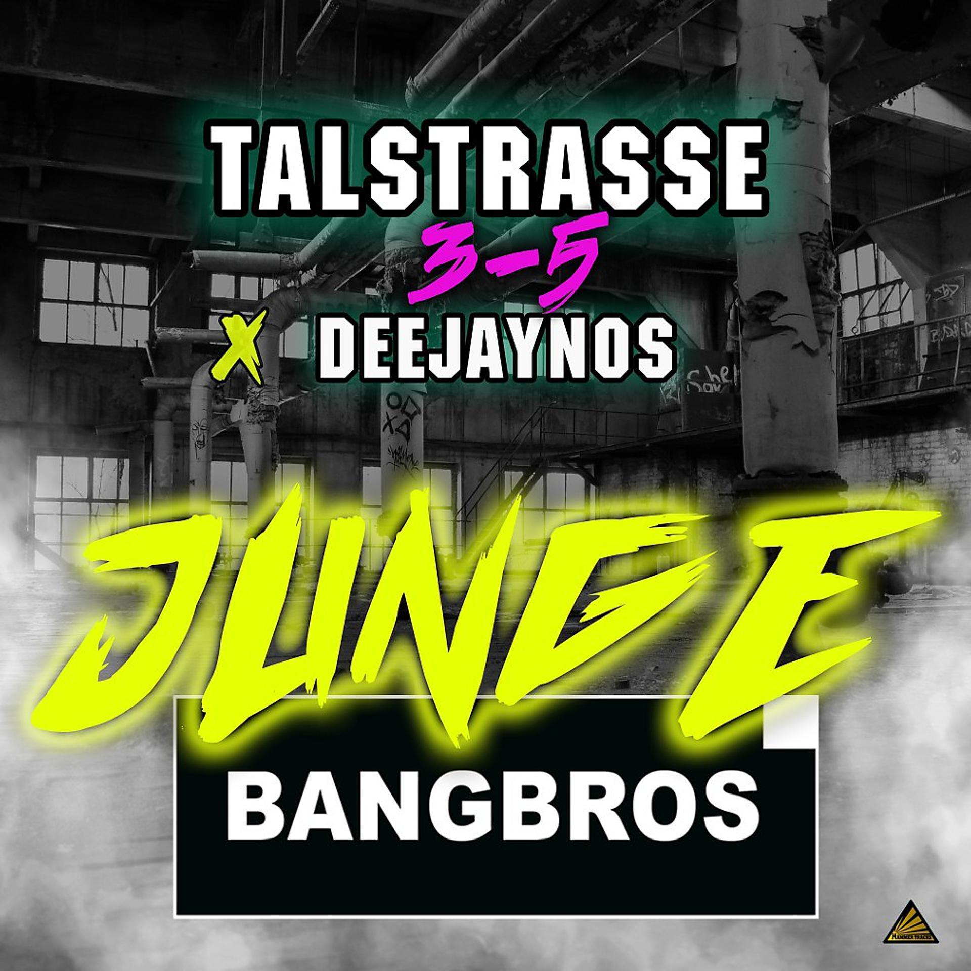Постер альбома Junge (Bangbros Remix)