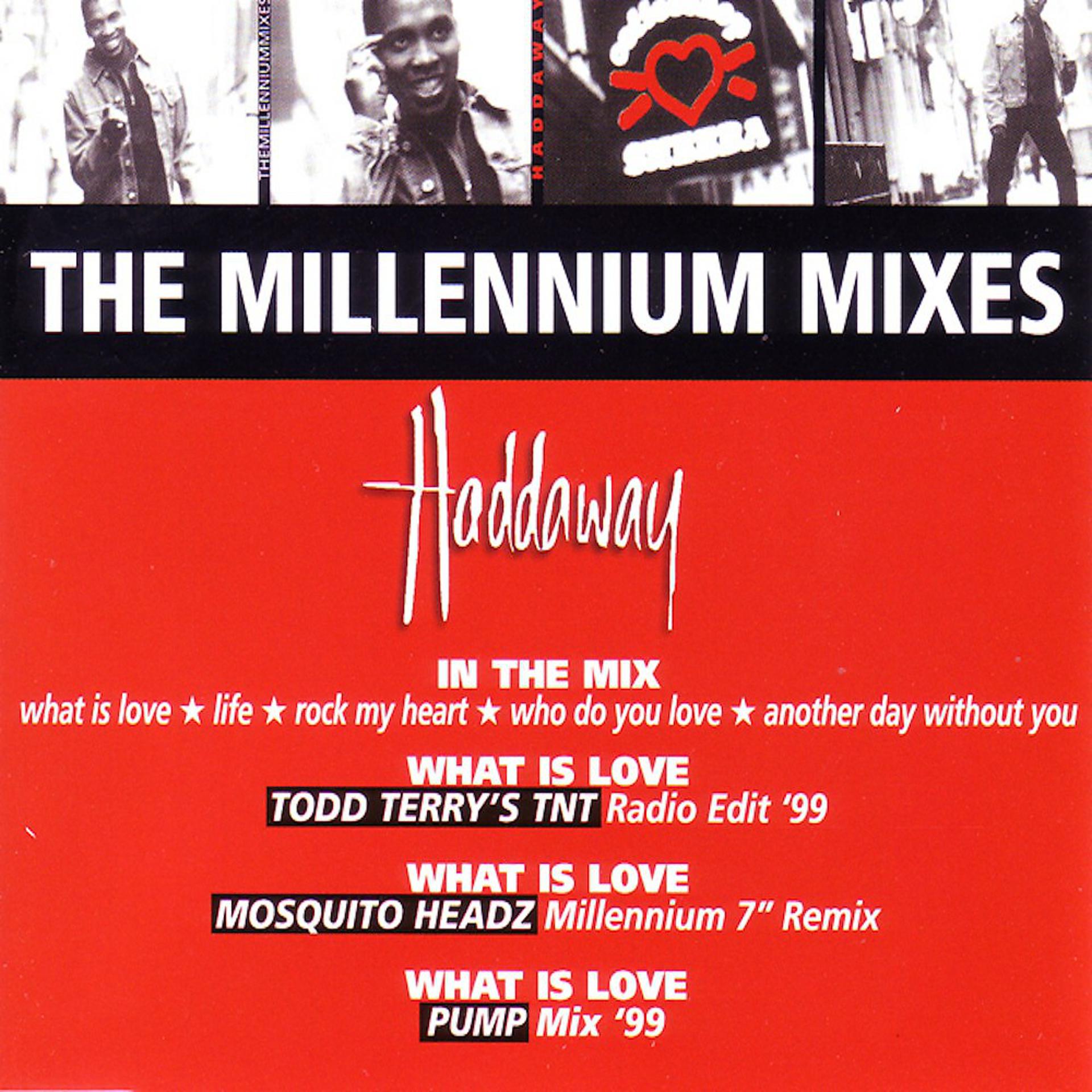 Постер альбома The Millennium Mixes