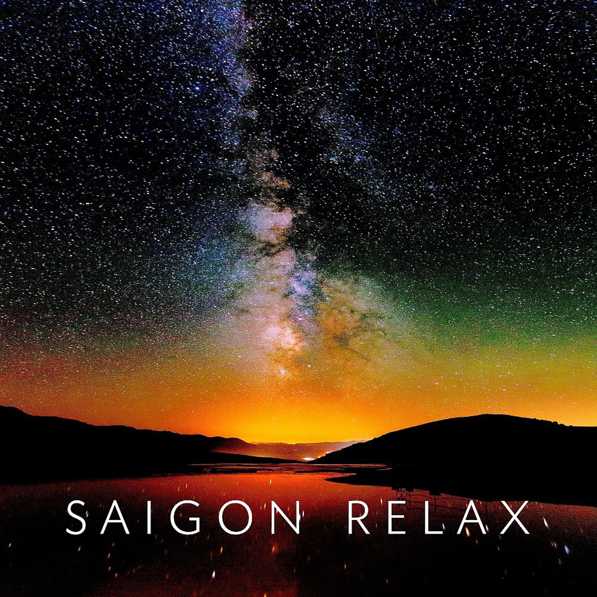 Постер альбома Saigon Relax