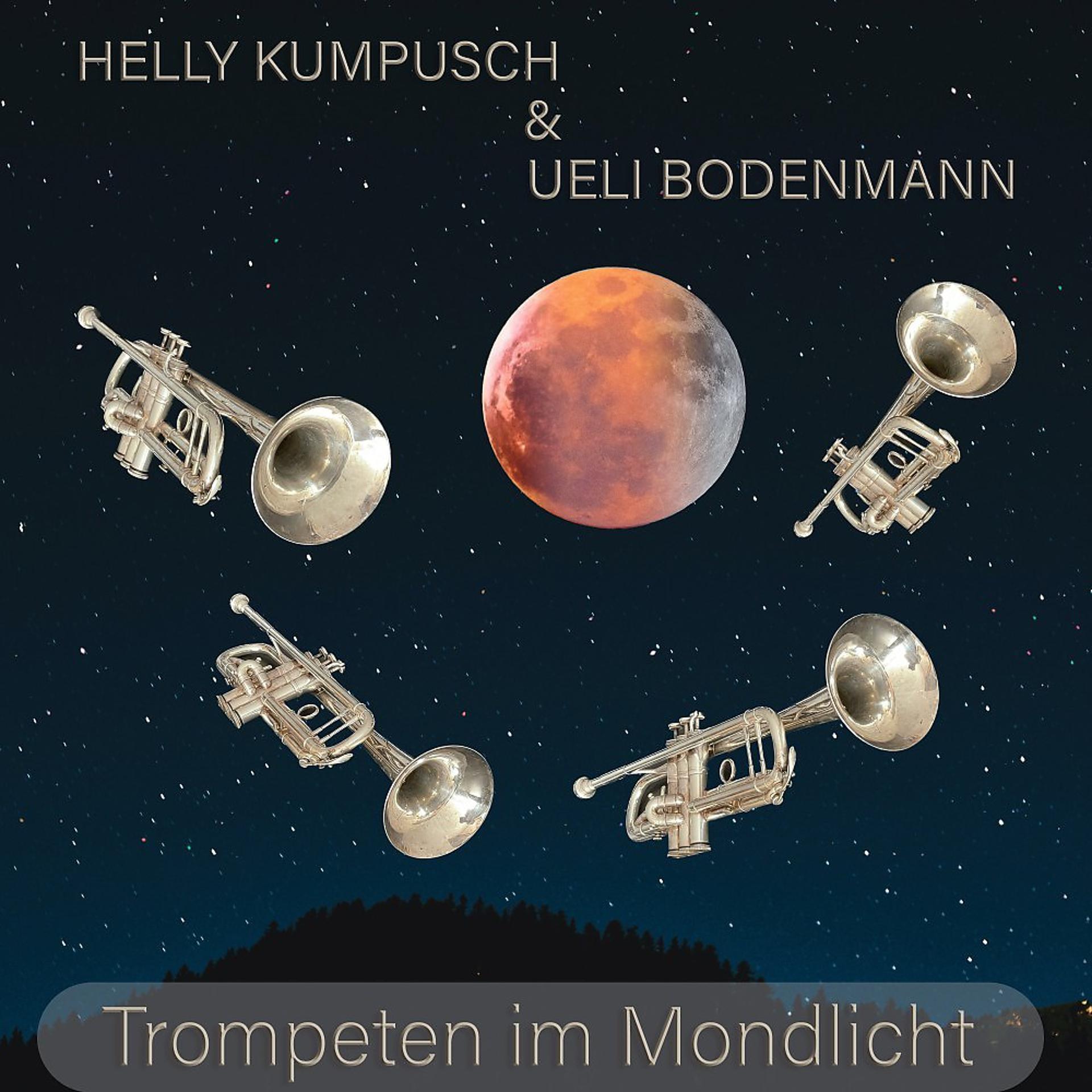 Постер альбома Trompeten im Mondlicht