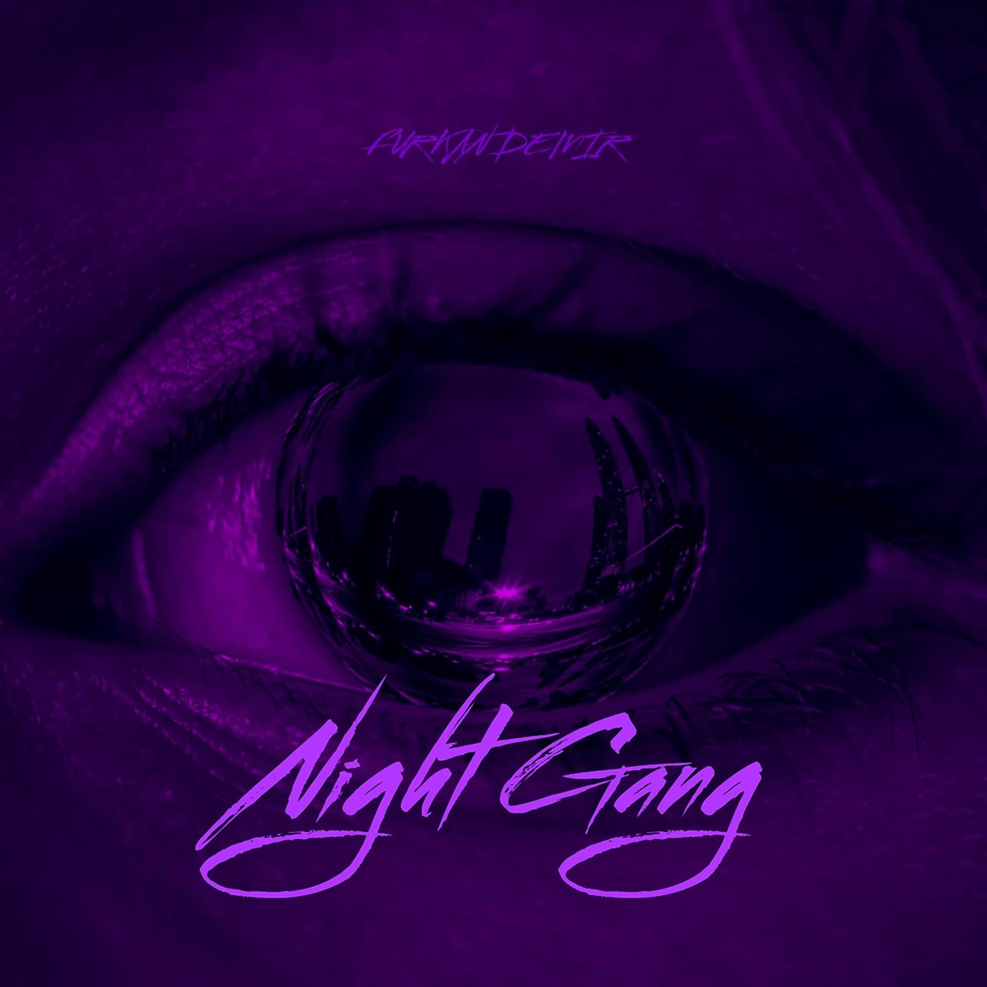 Постер альбома Night Gang