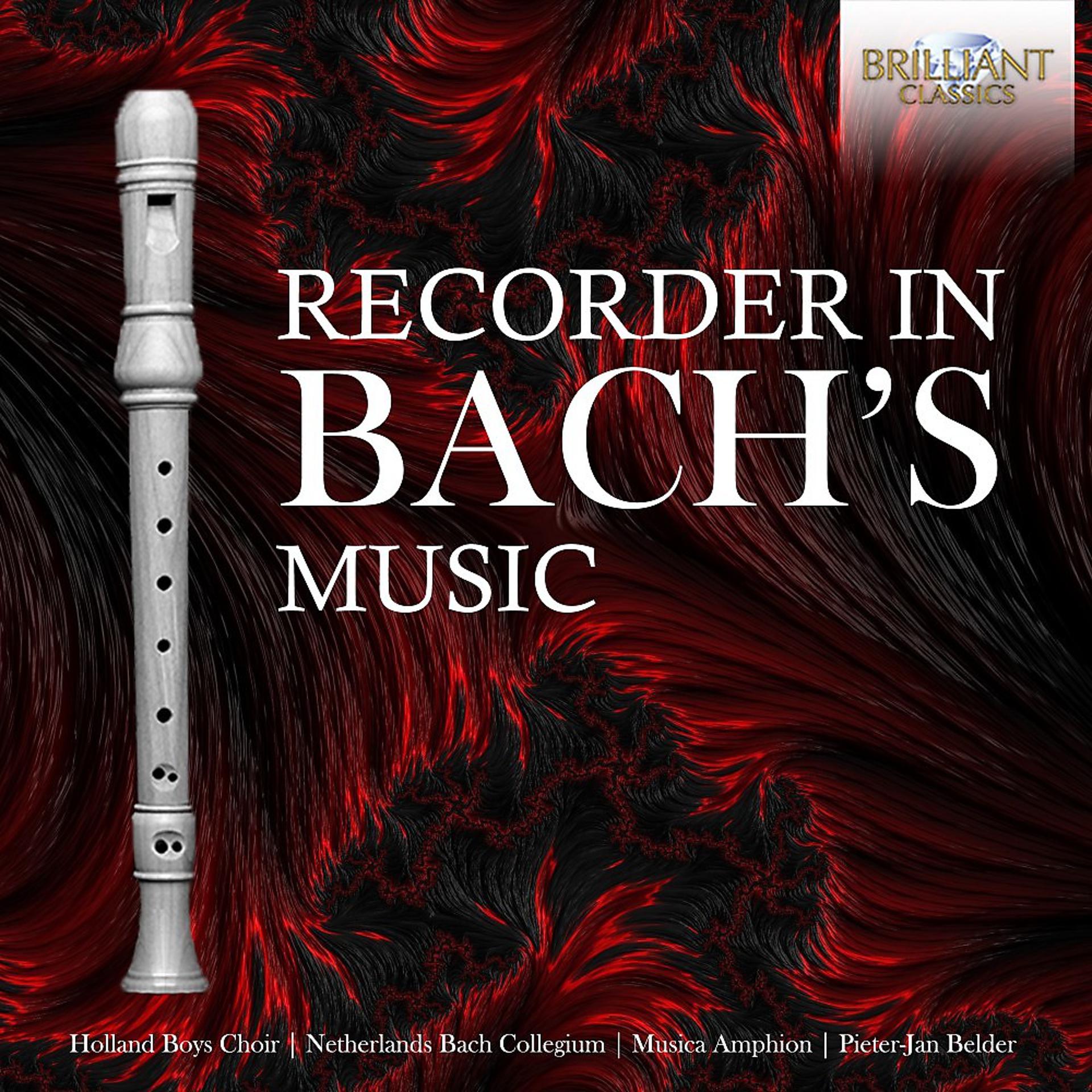 Постер альбома The Recorder in Bach's Music