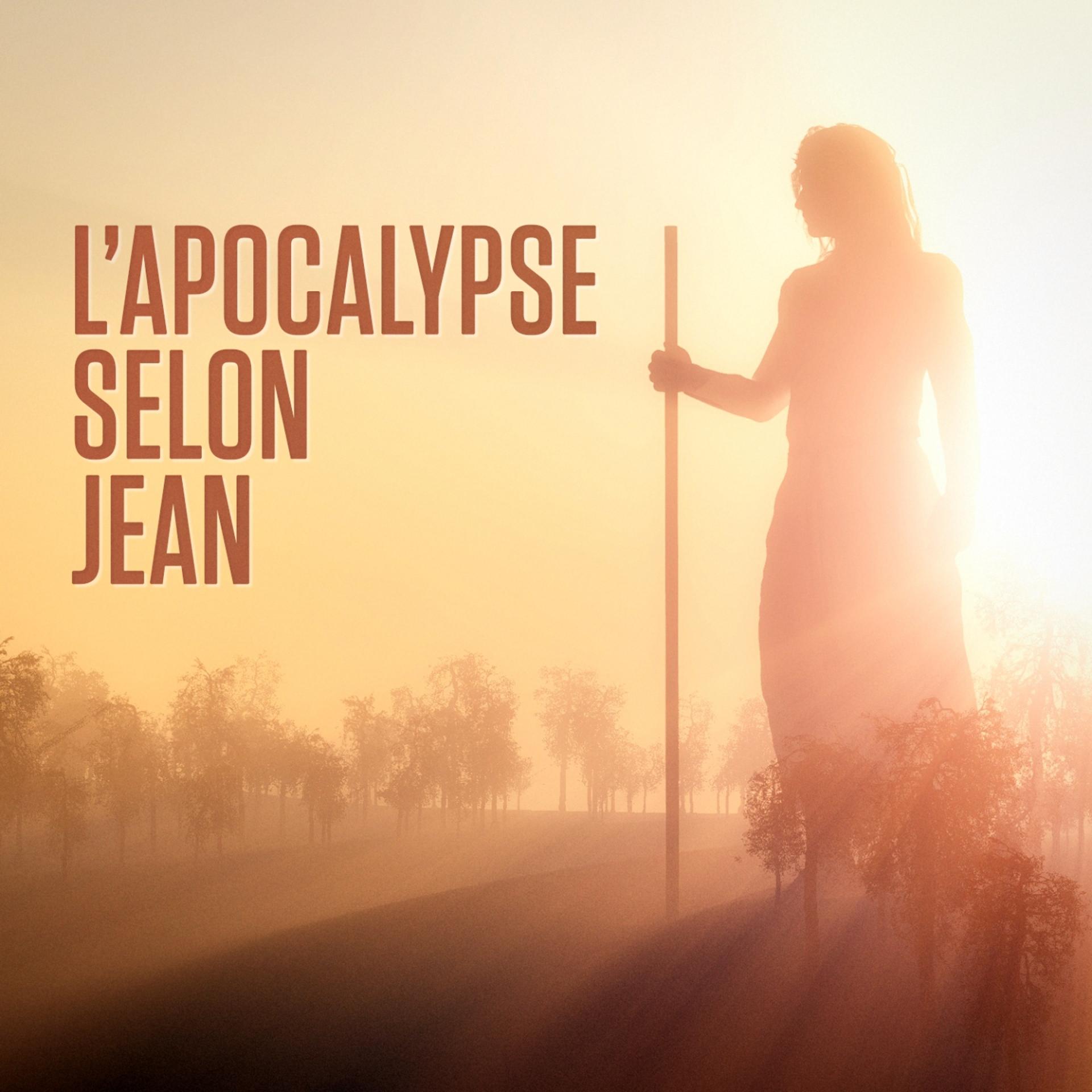 Постер альбома L'apocalypse selon Jean ou Révélation de Jésus-Christ : Le Nouveau Testament, 5ème partie