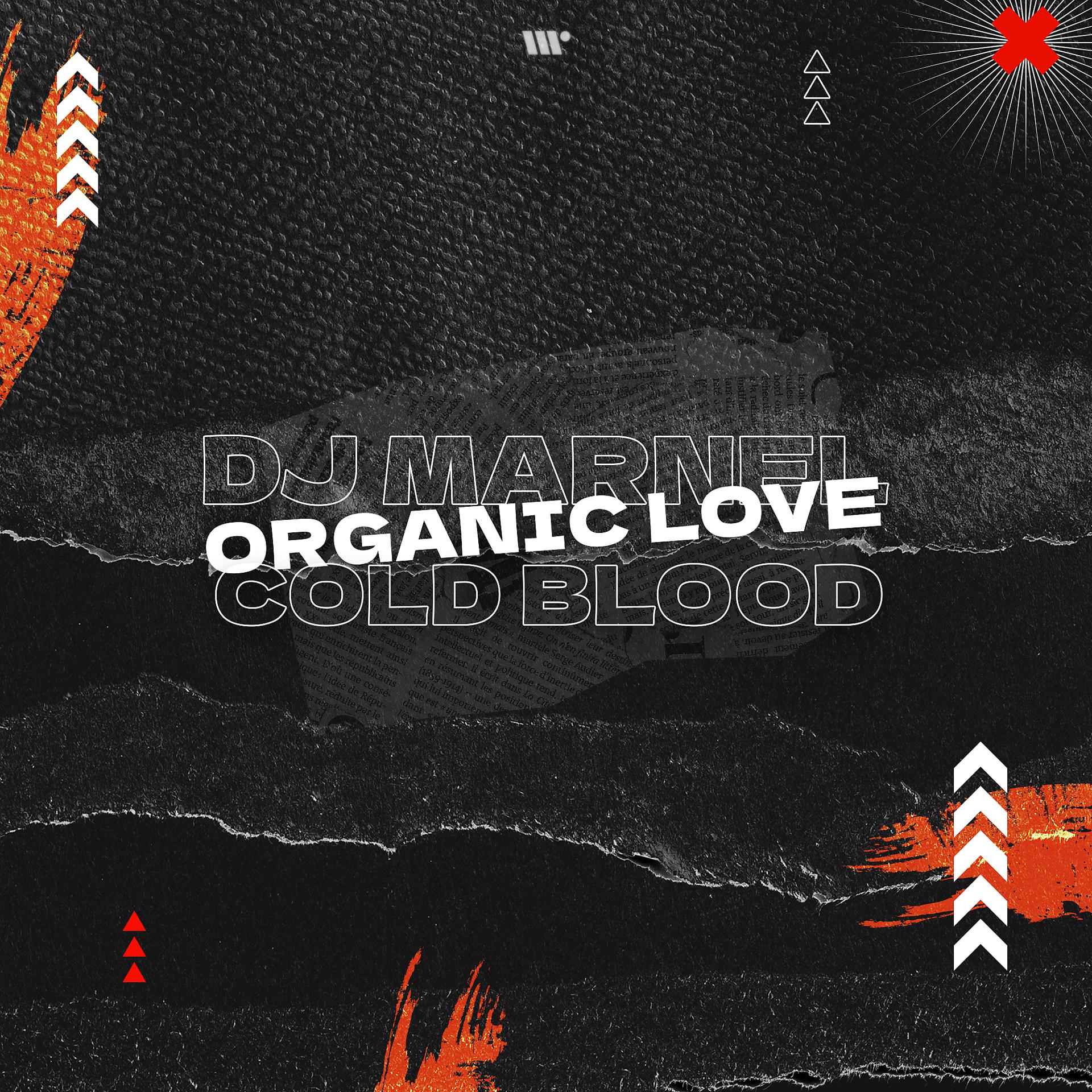 Постер альбома Organic Love