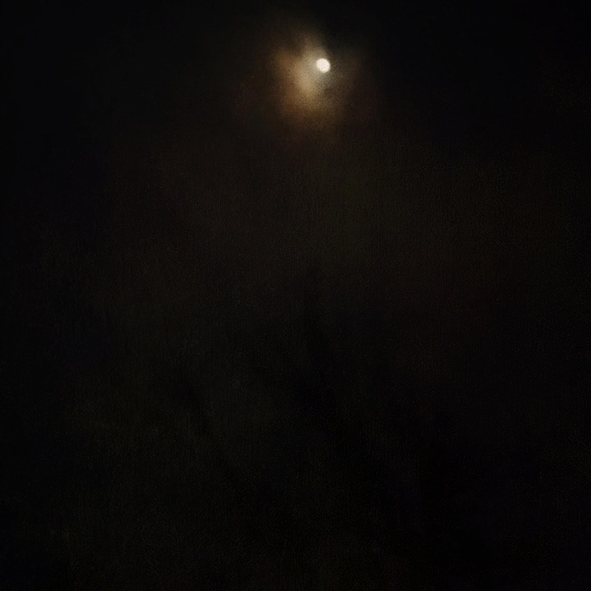 Постер альбома Dark Night Forest