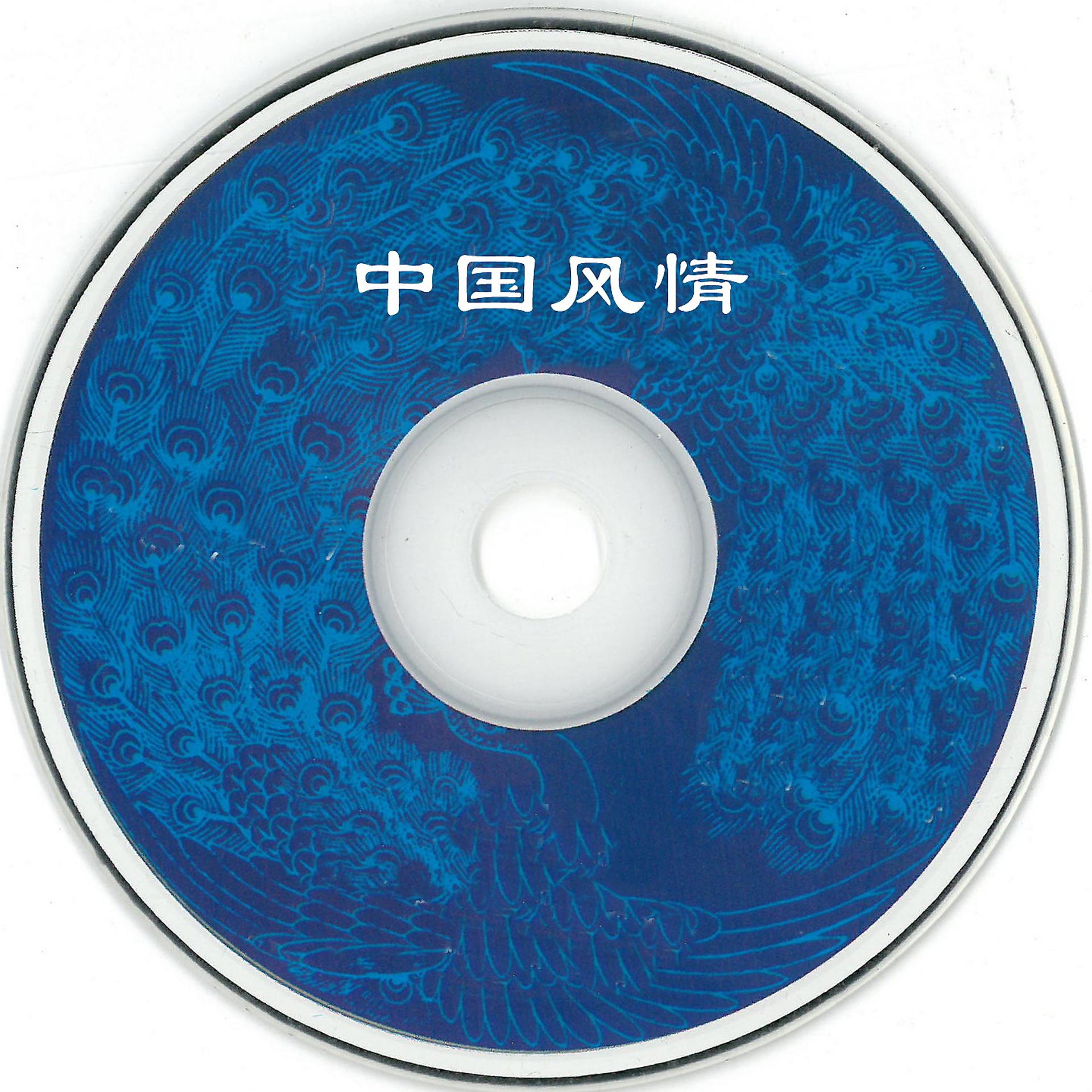 Постер альбома 中国风情