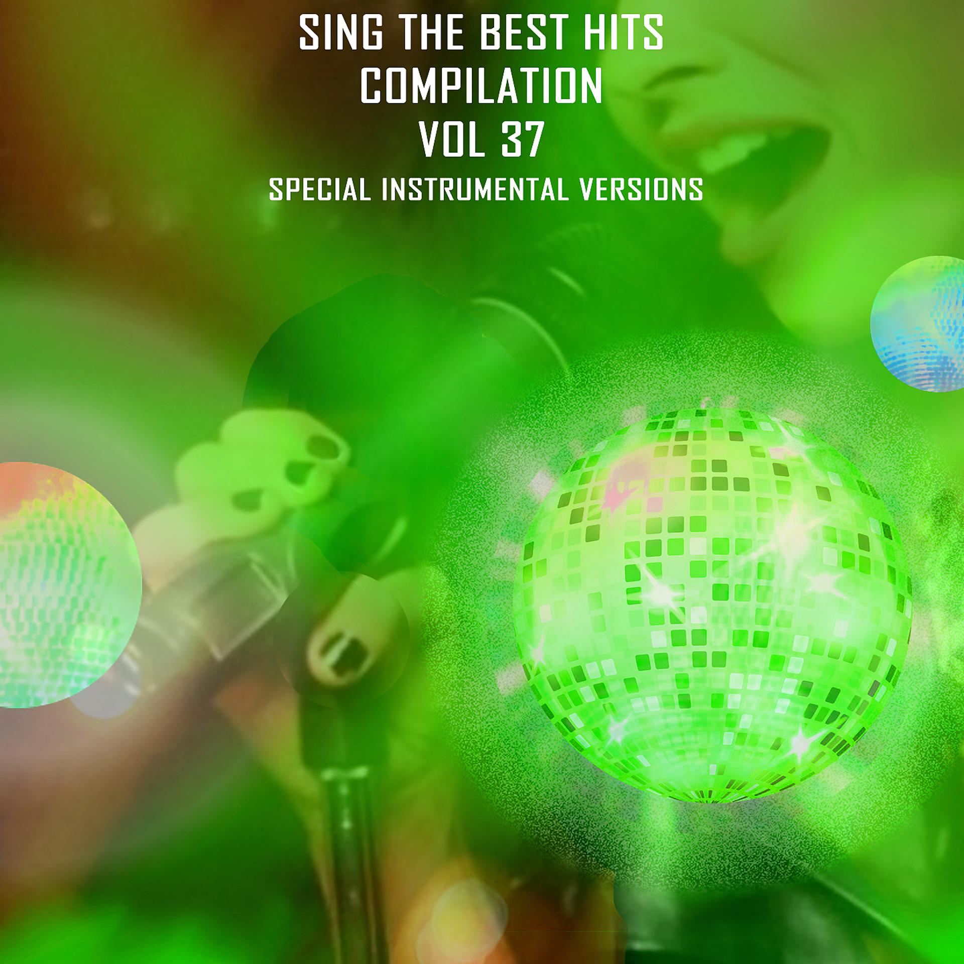 Постер альбома Sing The Best Hits, Vol. 37